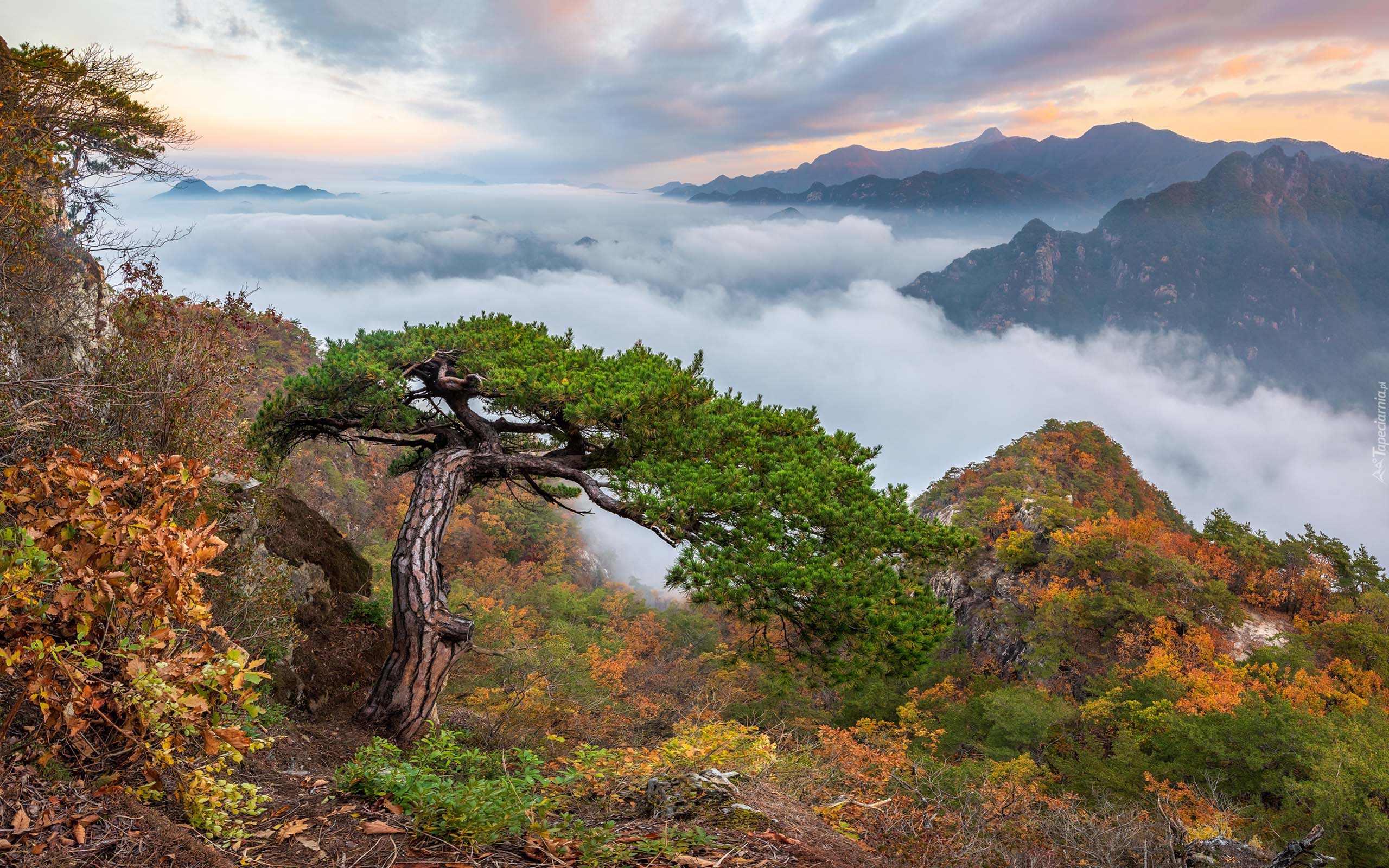 South Korean Landscape Wallpapers - 4k, HD South Korean Landscape ...