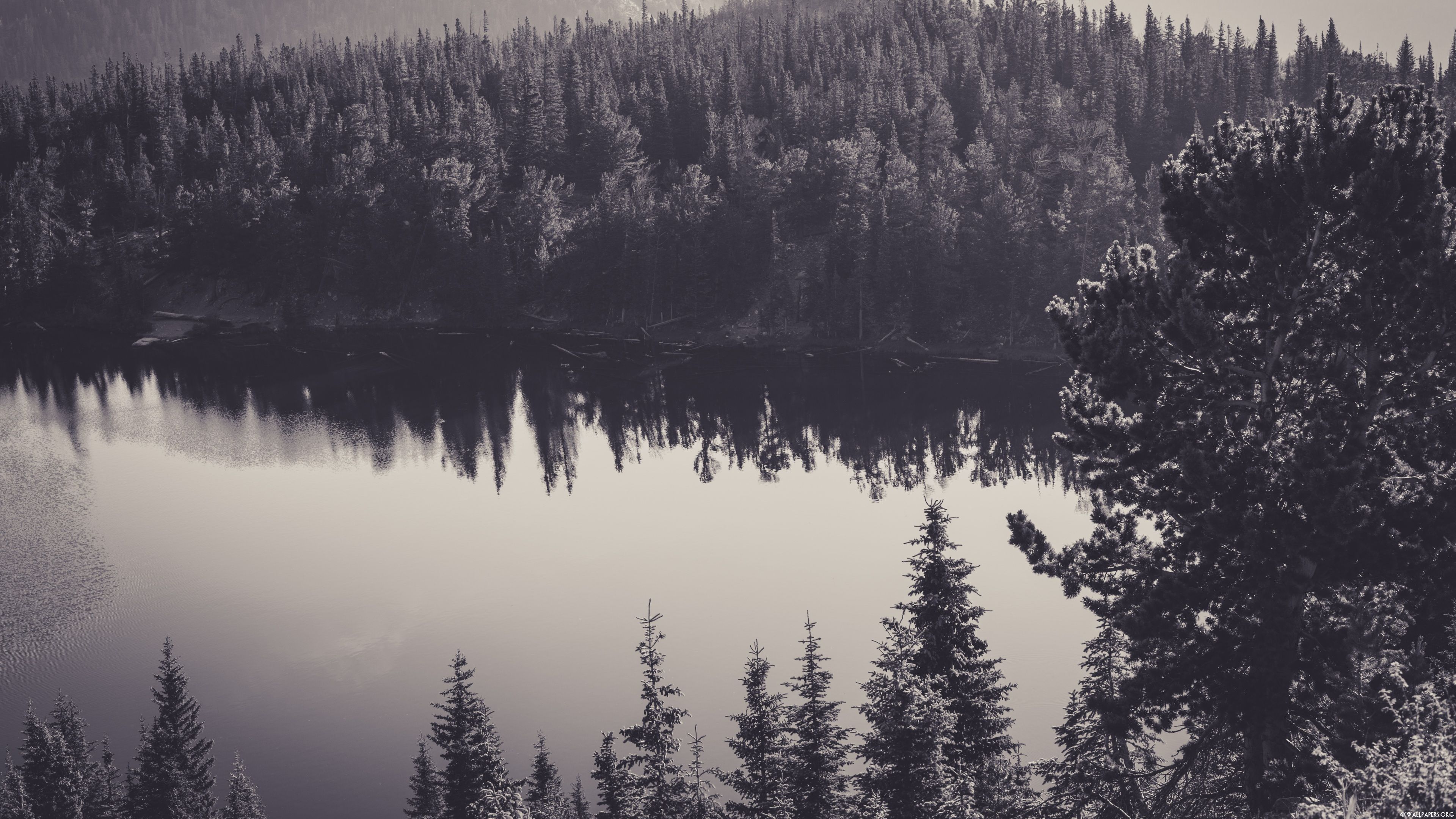 Forest Lake Wallpapers - 4k, HD Forest Lake Backgrounds on WallpaperBat