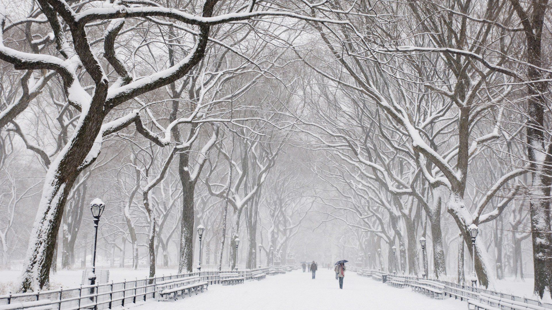 Central Park Winter Wallpapers 4k, HD Central Park Winter Backgrounds