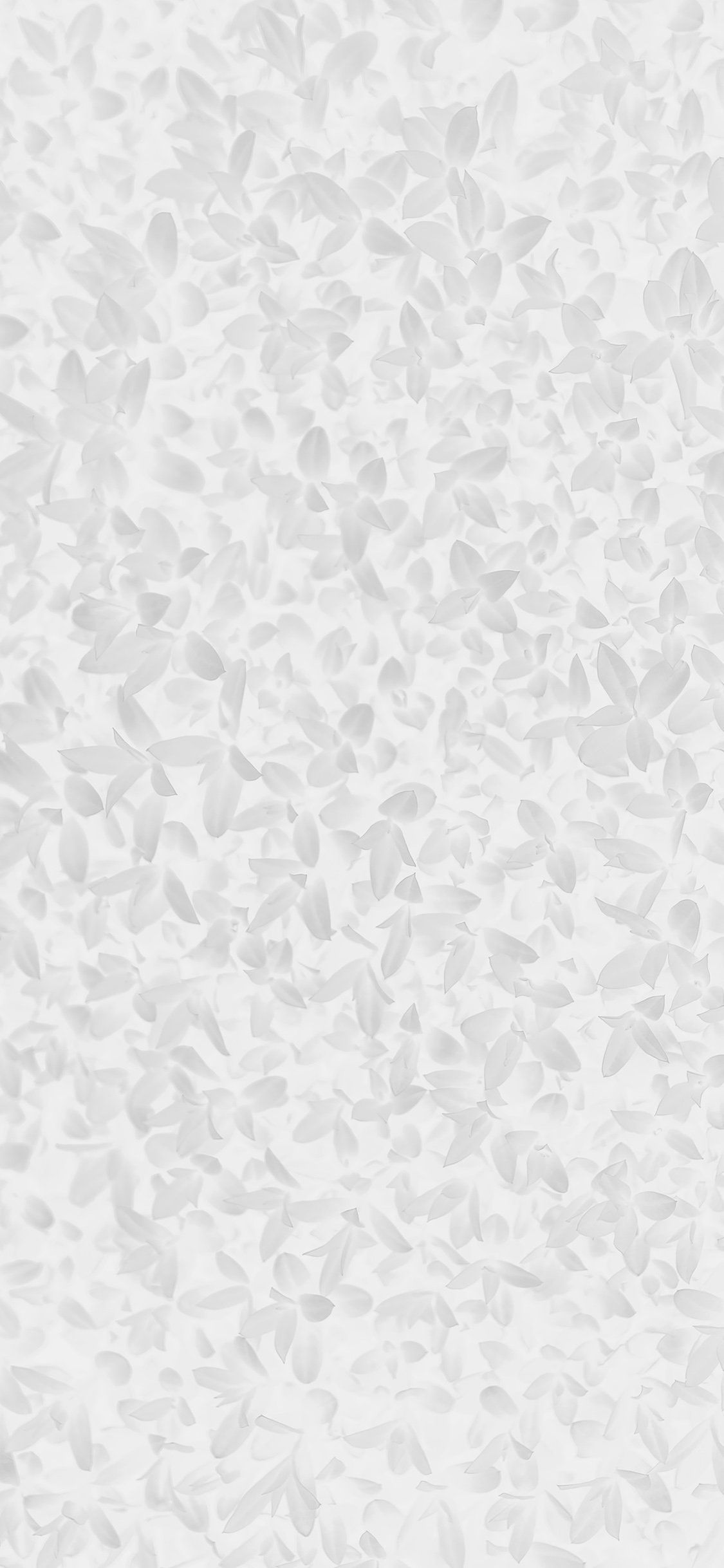 White Pattern Wallpapers - 4k, HD White Pattern Backgrounds on WallpaperBat