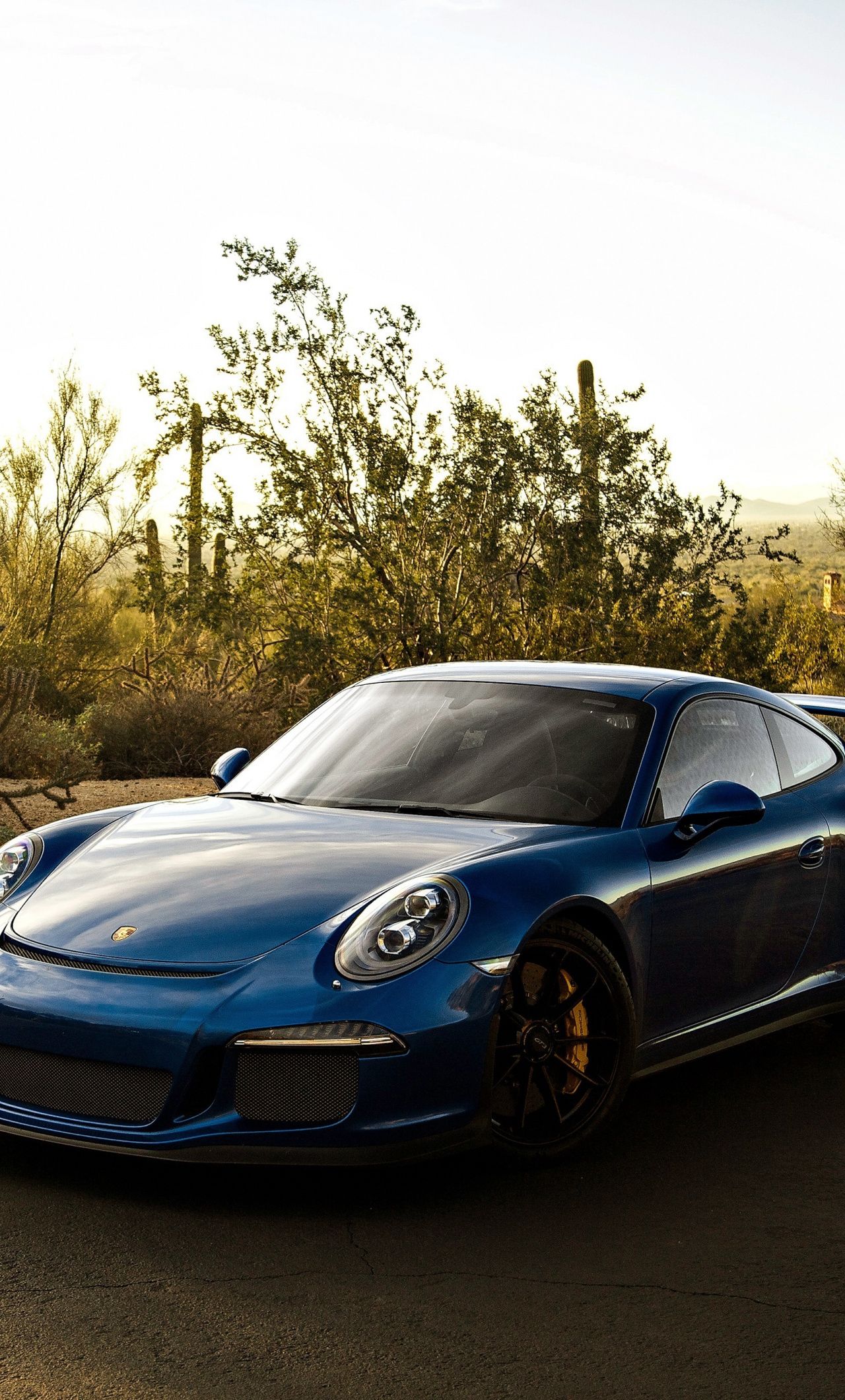 1280x2120 Download 1280x2120 wallpaper blue car, sports, porsche 911 gt3 rs ... Wallpaper