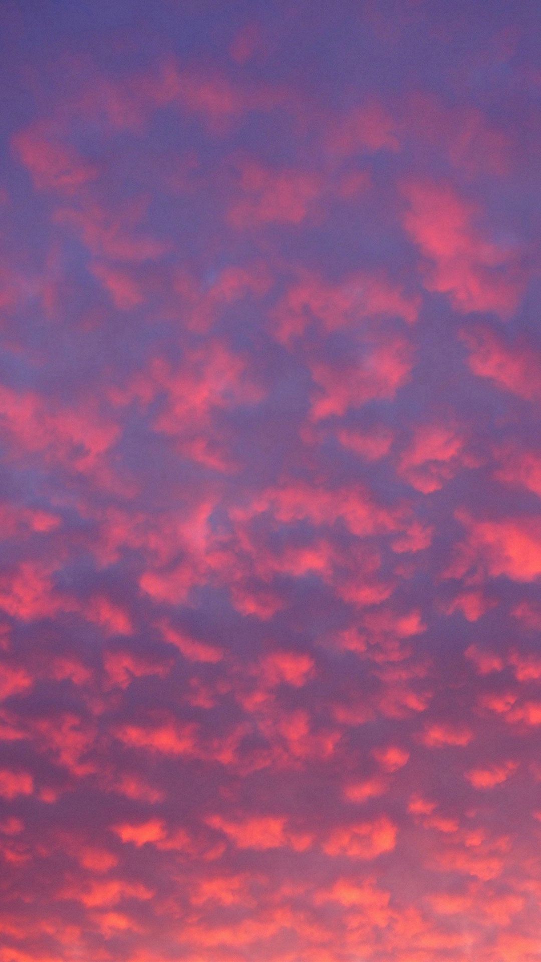 Pink Clouds Sunset Wallpapers 4k Hd Pink Clouds Sunset Backgrounds On Wallpaperbat