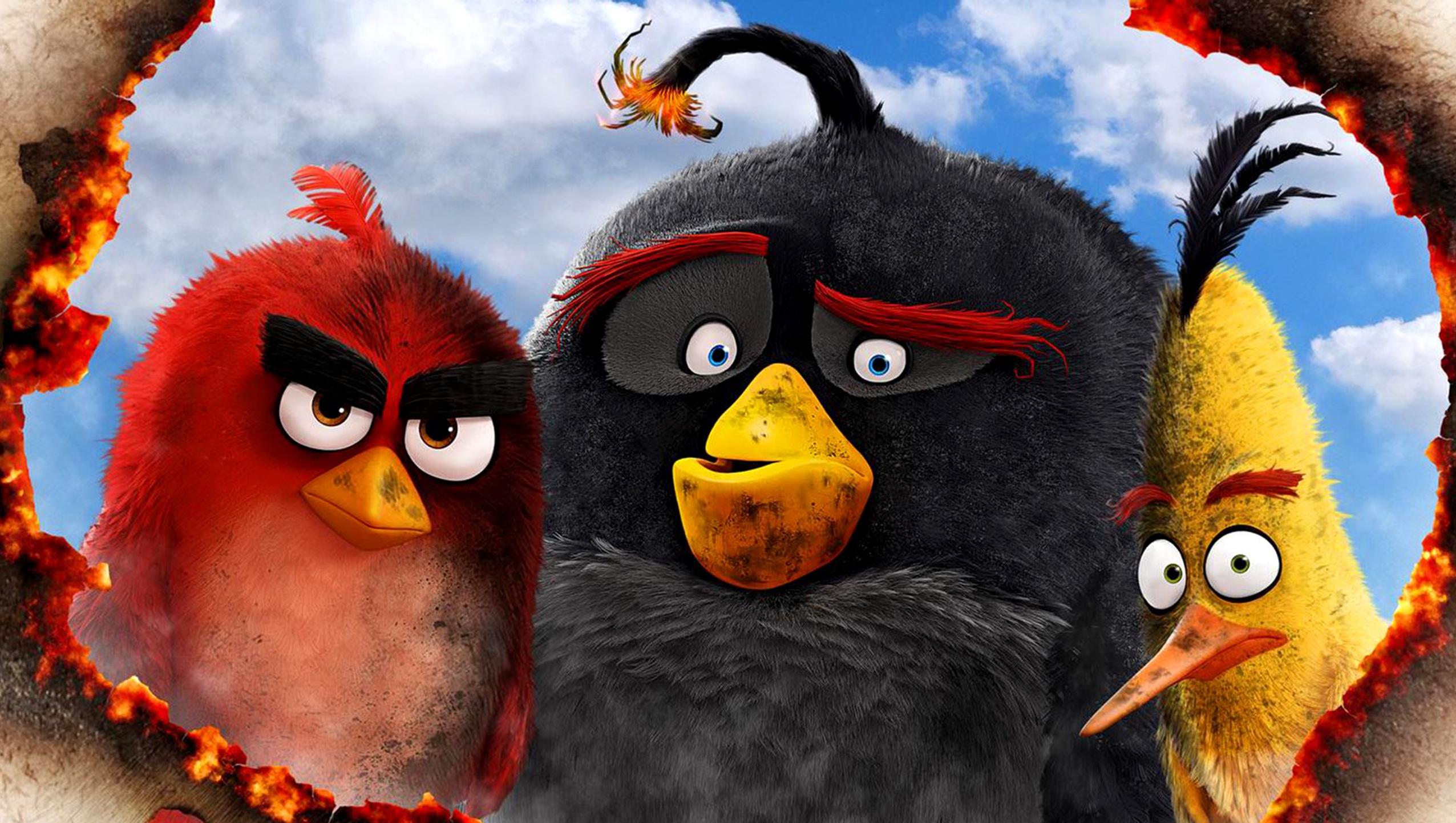The Birds Movie Wallpapers 4k HD The Birds Movie Backgrounds on The Birds Movie Wallpapers 4k HD The Birds Movie Backgrounds on