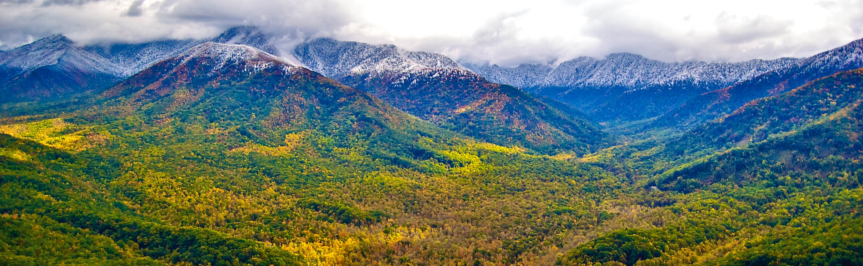 Горы аппалачи мистика существа фото Great Smoky Mountains Wallpapers - 4k, HD Great Smoky Mountains Backgrounds on W