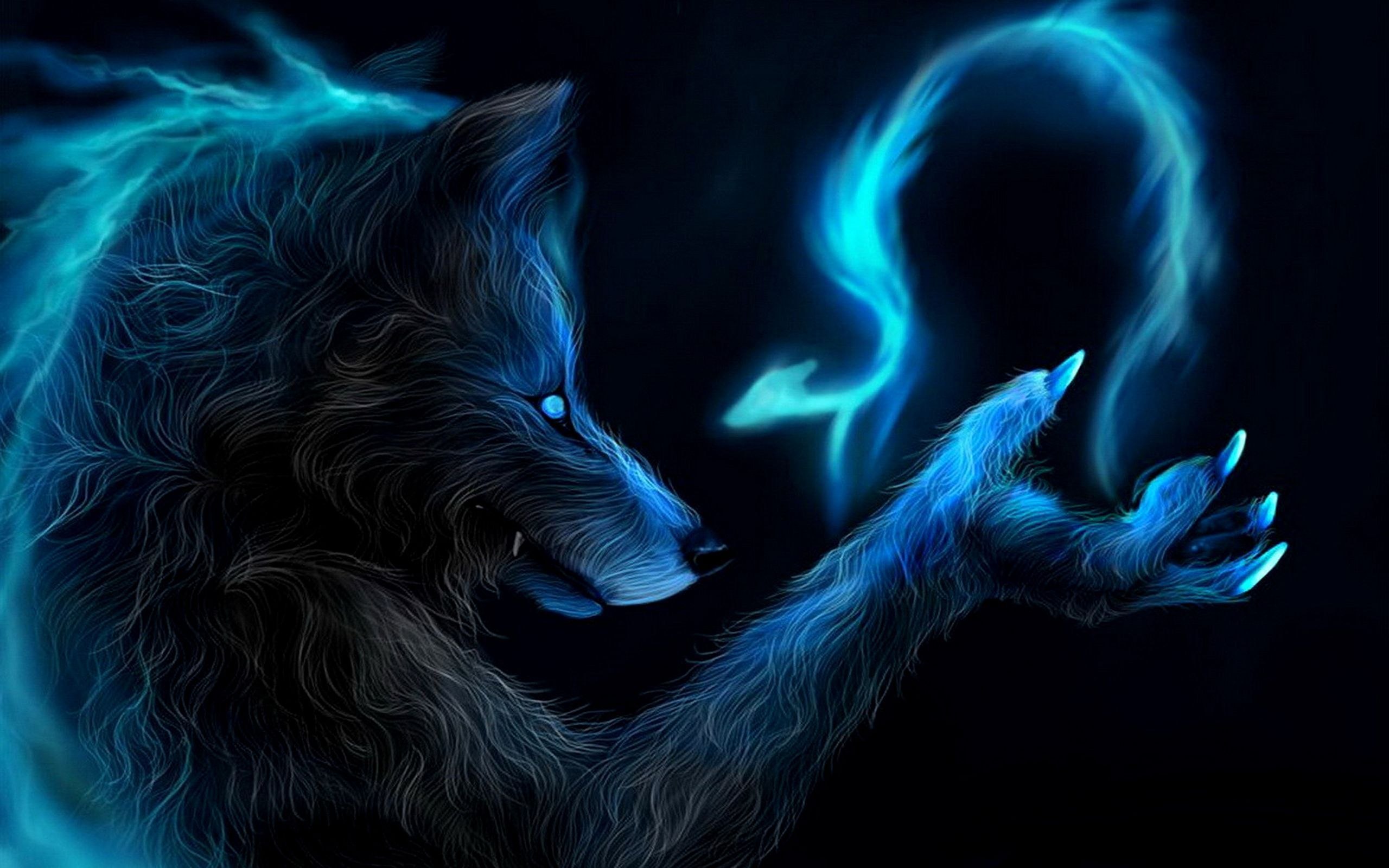 2560x1600 Blue Wolf Wallpaper - Top Free Blue Wolf Background on WallpaperB...