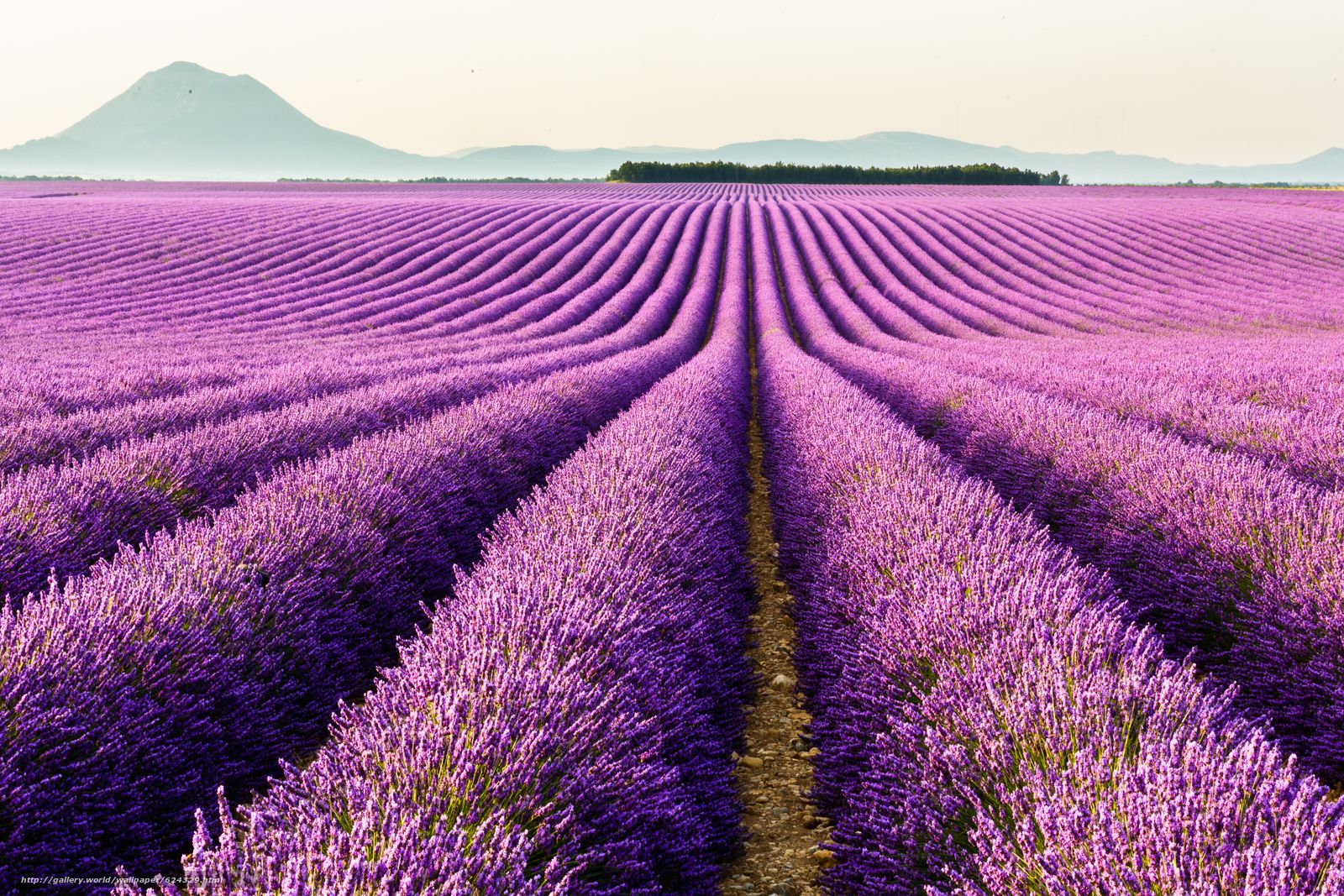 provence-france-desktop-wallpapers-4k-hd-provence-france-desktop