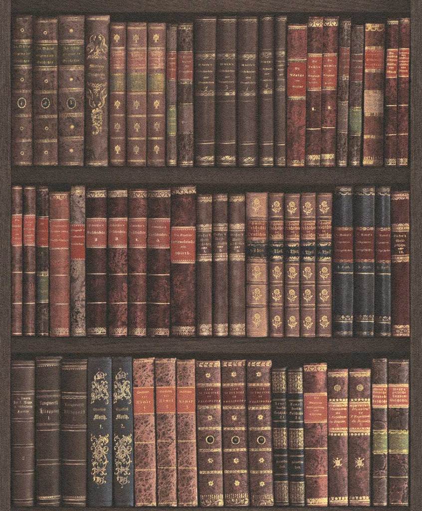 Bookshelf Wallpapers 4k Hd Bookshelf Backgrounds On Wallpaperbat