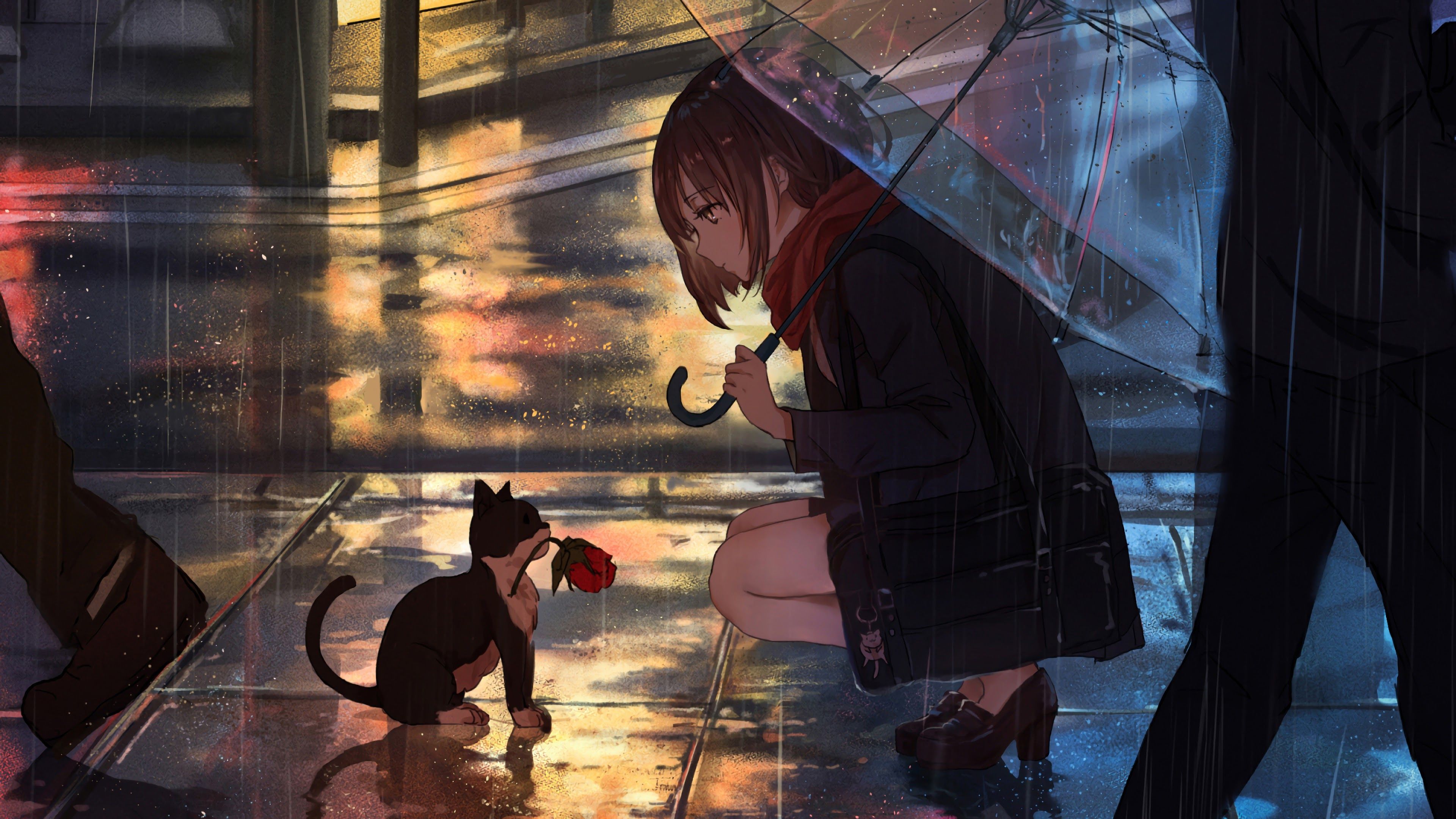 3840x2160 Anime Girl Raining Cat 4K Wallpaper on WallpaperBat