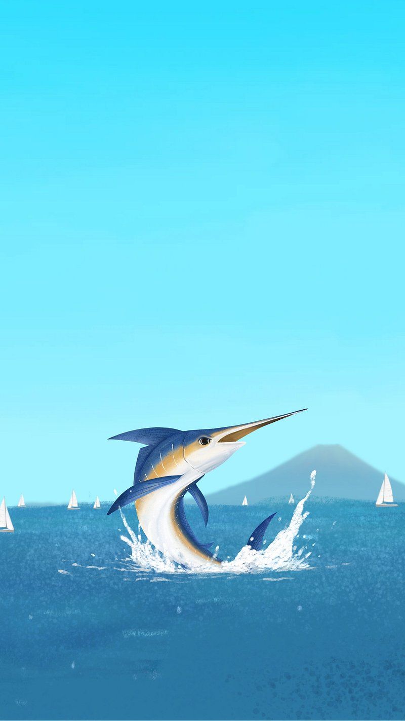 Marlin Wallpapers - 4k, HD Marlin Backgrounds on WallpaperBat