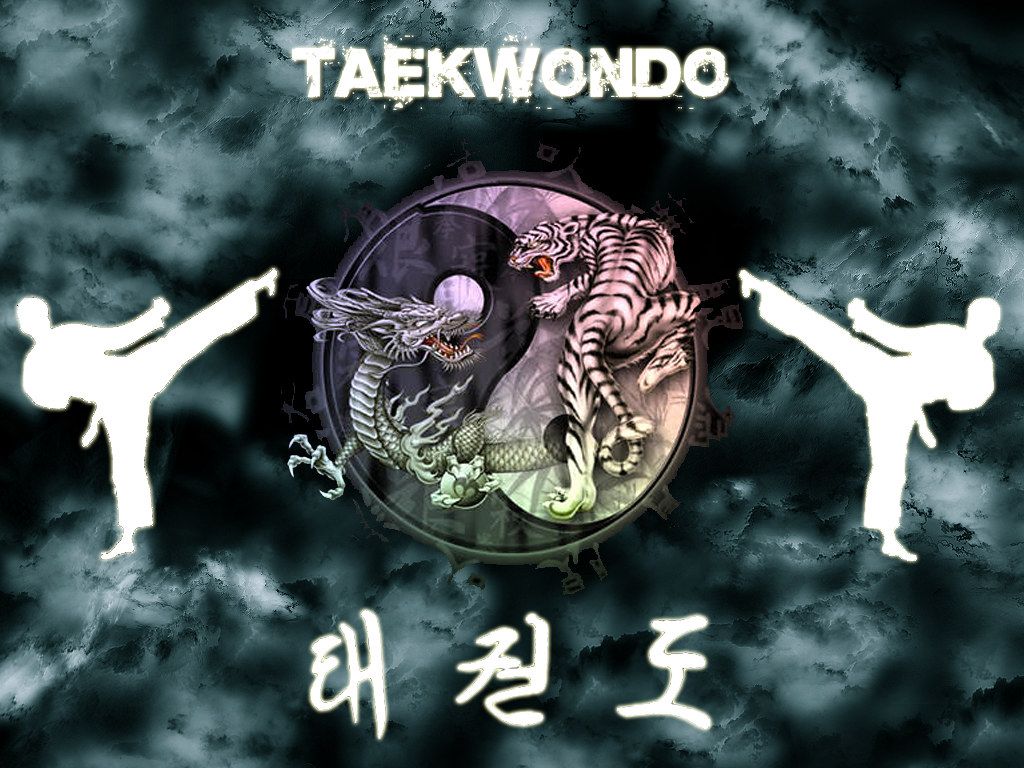 Taekwondo Wallpapers 4k Hd Taekwondo Backgrounds On Wallpaperbat