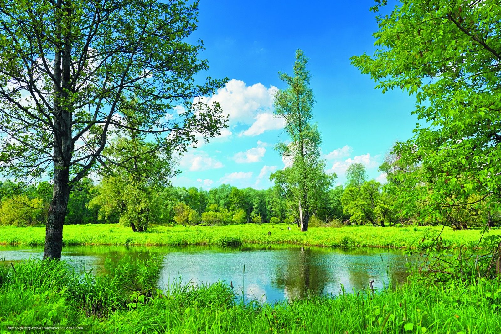 Summer Lake Desktop Wallpapers - 4k, HD Summer Lake Desktop Backgrounds ...