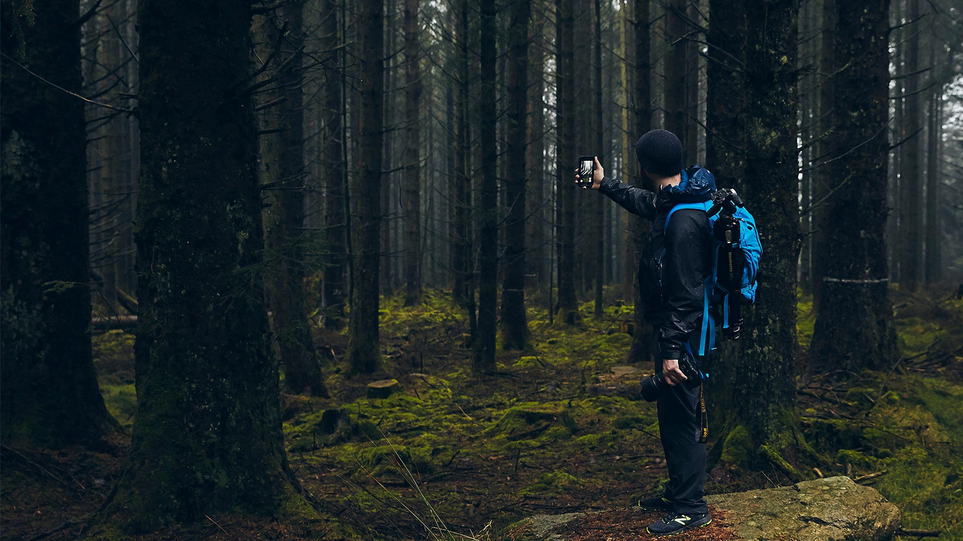 He walk in the forest. Хайкинг в лесу. Одежда в лес. Одежда для леса. Прогулки в лесу по городу в картинках.