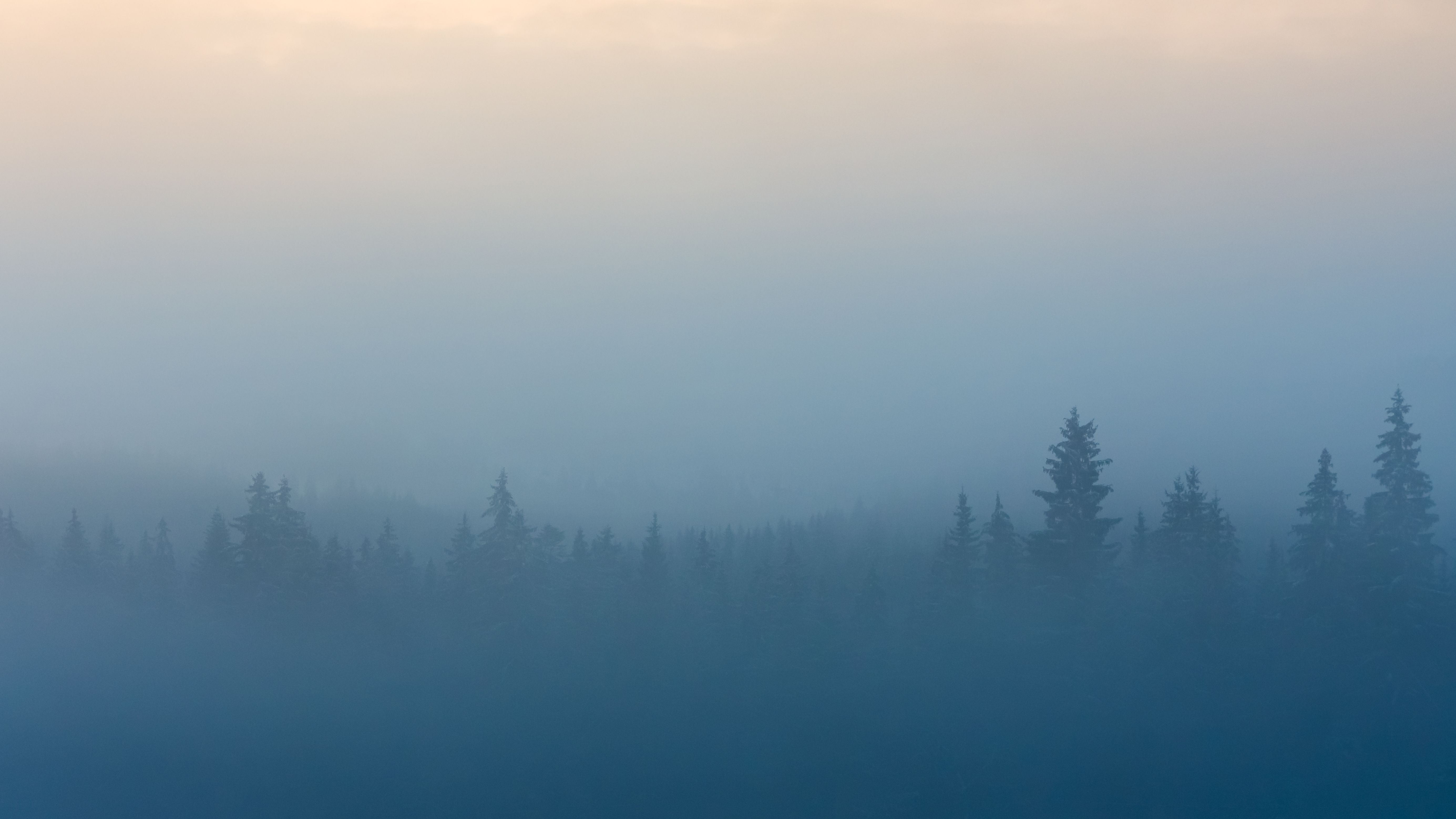 Misty Forest Wallpapers 4k HD Misty Forest Backgrounds On WallpaperBat misty-forest-wallpapers-4k-hd-misty-forest-backgrounds-on-wallpaperbat