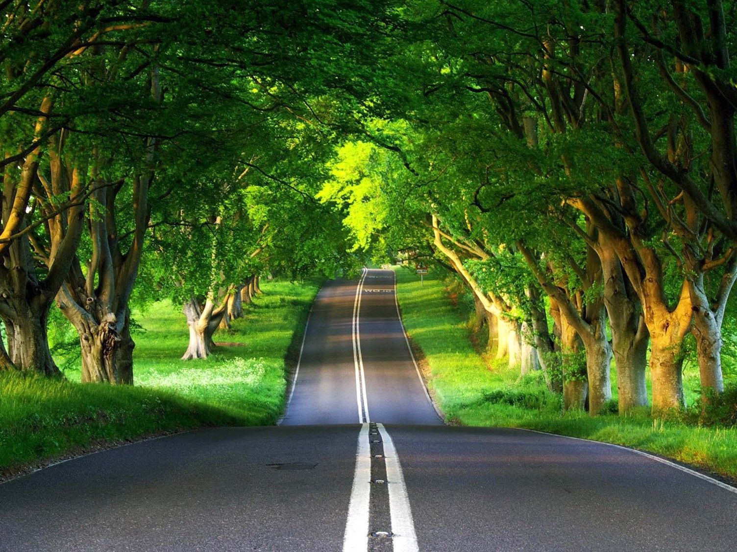 Nature Road Wallpapers - 4k, HD Nature Road Backgrounds on WallpaperBat