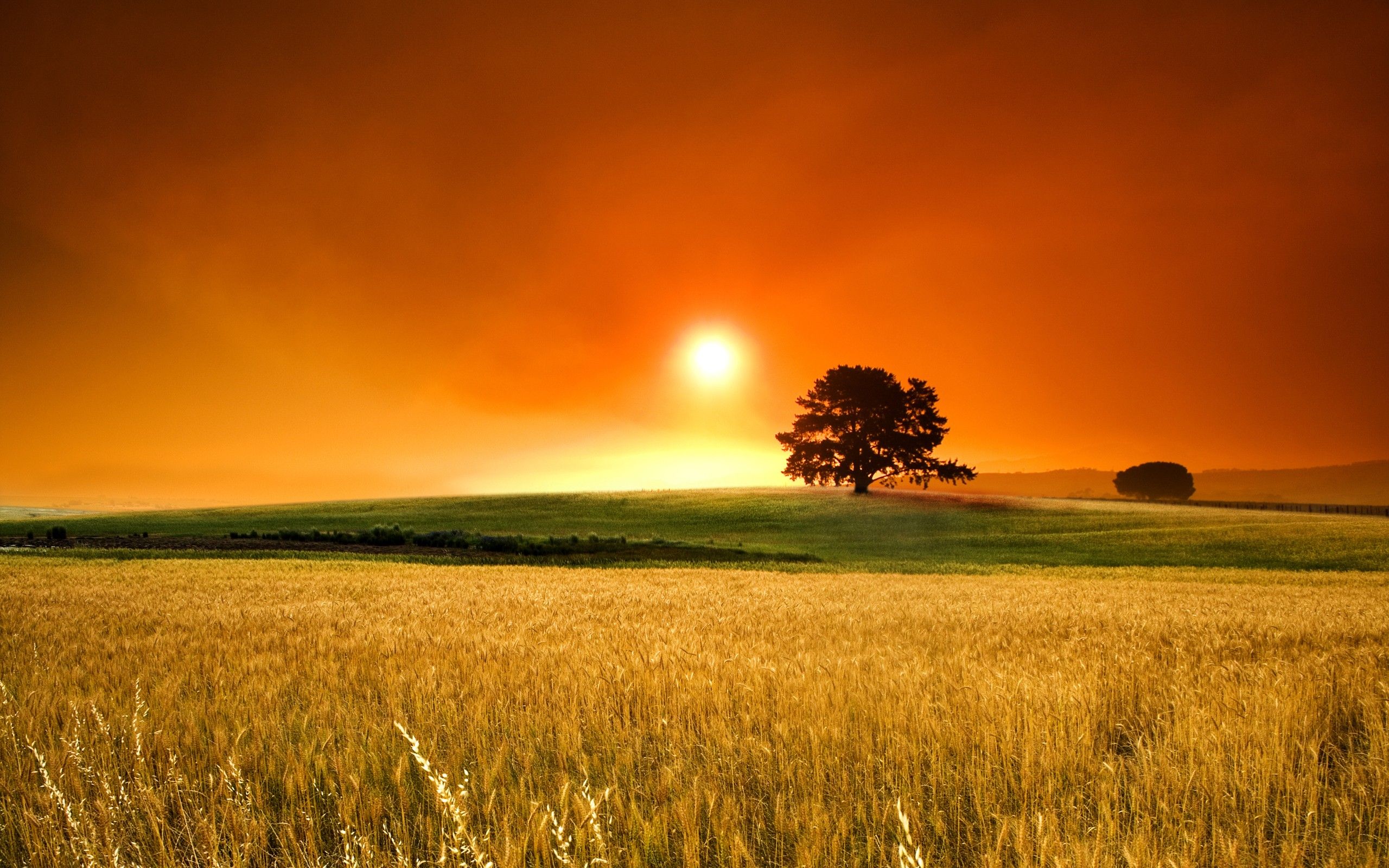 2560x1600 Country Sunset wallpaper.
