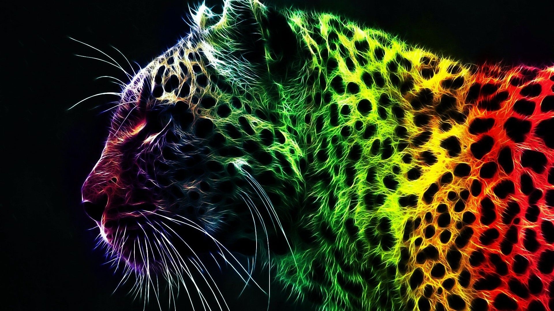 Colorful Animals Wallpapers - 4k, HD Colorful Animals Backgrounds on ...