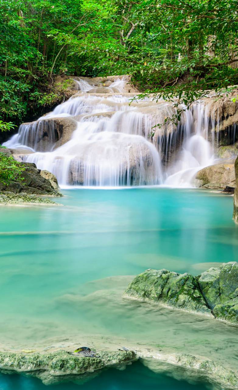 Tropical Waterfalls Wallpapers - 4k, Hd Tropical Waterfalls Backgrounds 