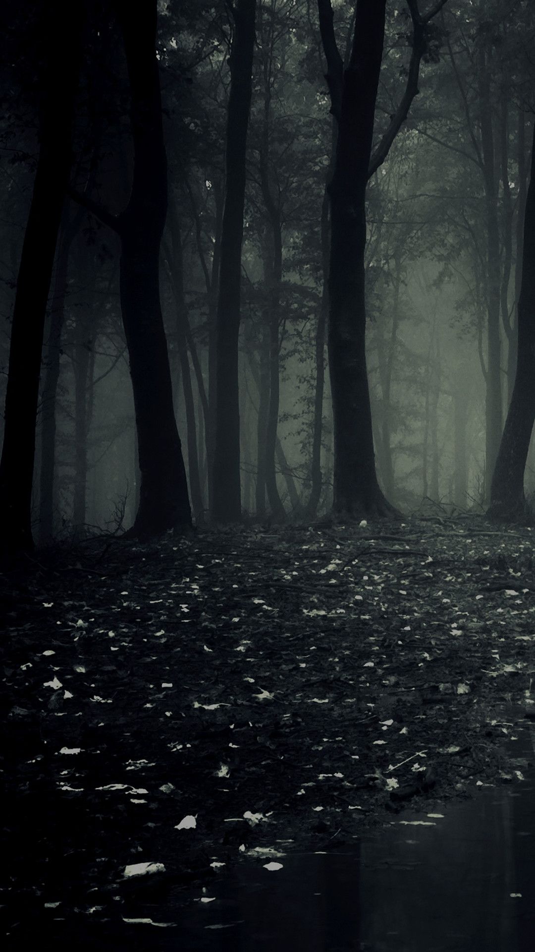 Creepy Forest Wallpapers - 4k, HD Creepy Forest Backgrounds on WallpaperBat