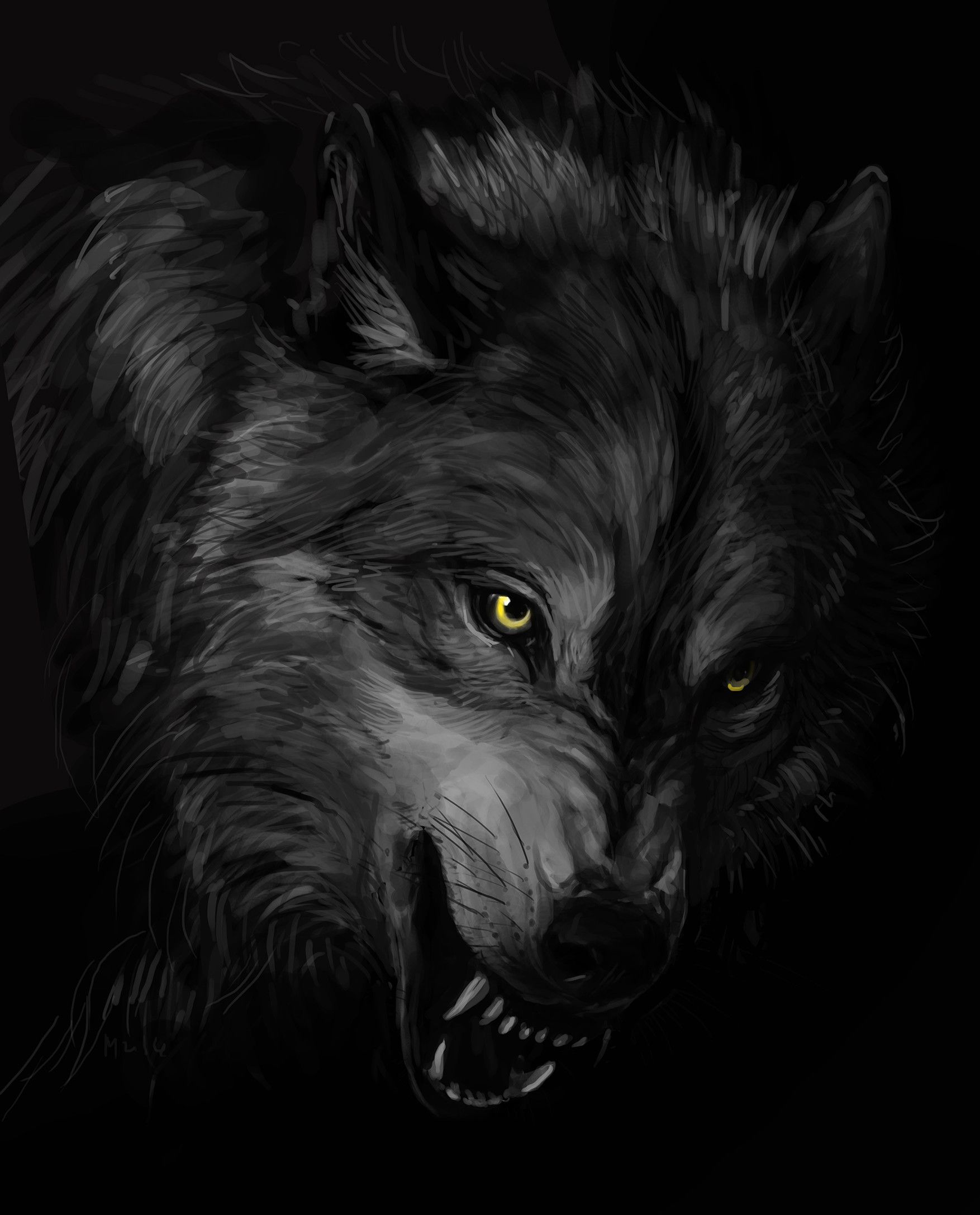Dark Wolves Wallpapers - 4k, HD Dark Wolves Backgrounds on WallpaperBat
