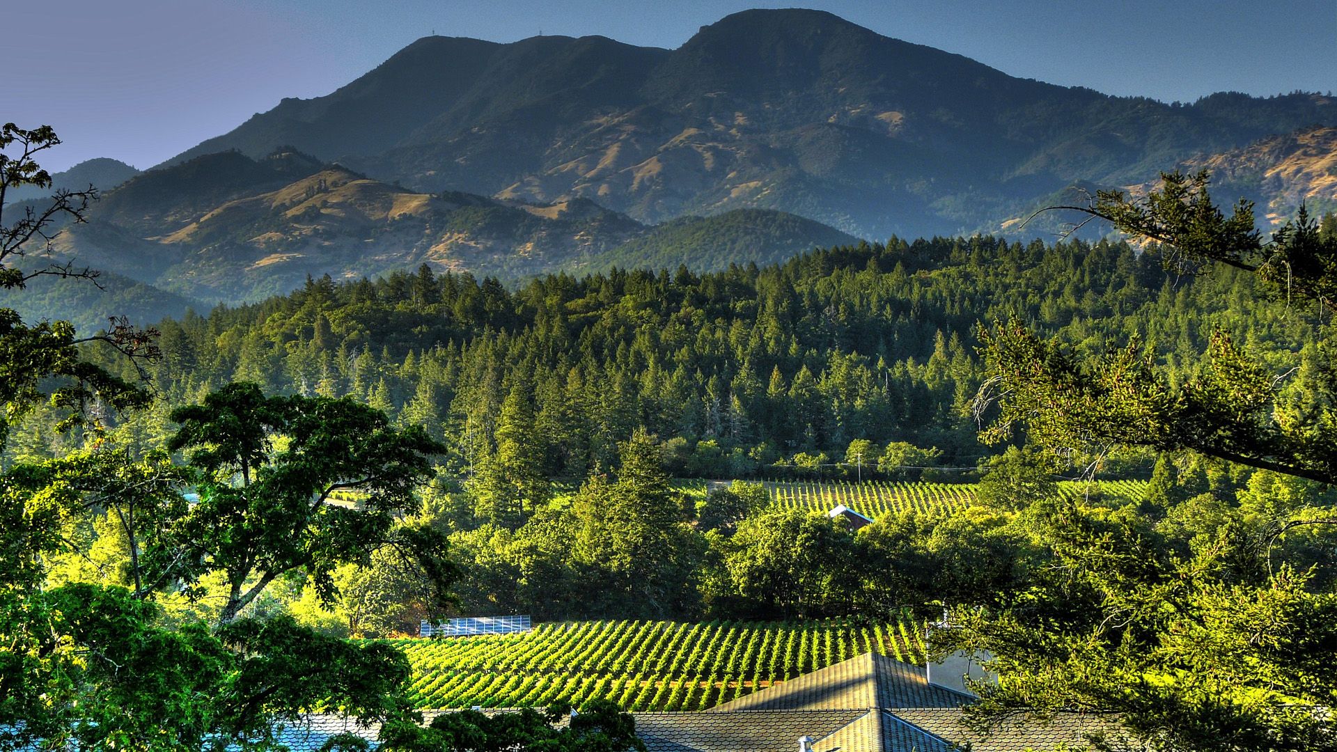 Napa Valley Wallpapers - 4k, HD Napa Valley Backgrounds on WallpaperBat