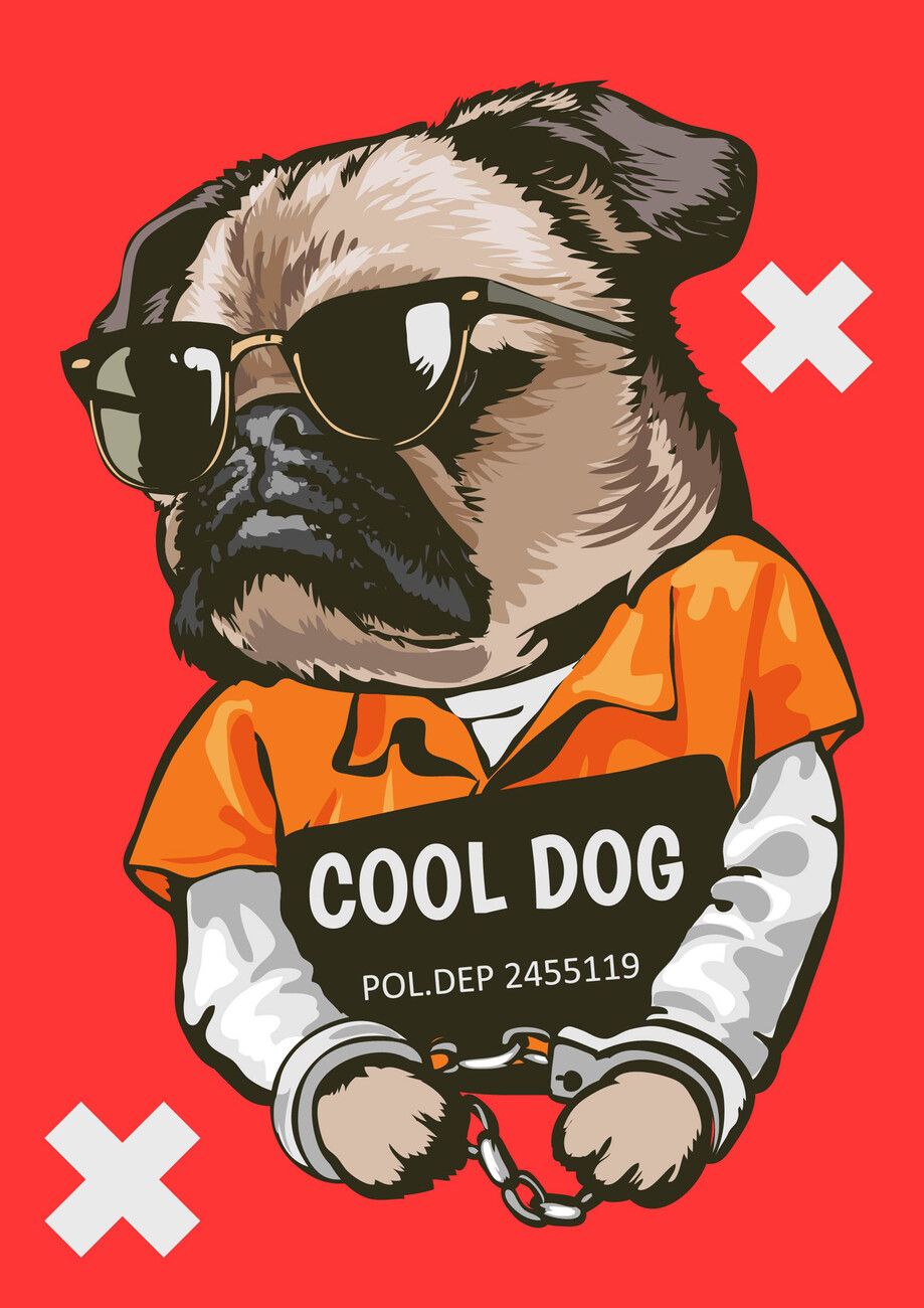 Cool Dog Wallpapers - 4k, HD Cool Dog Backgrounds on WallpaperBat