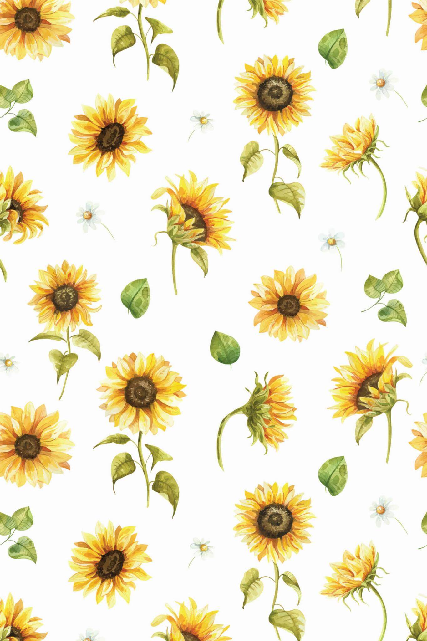 Sunflower Pattern Wallpapers - 4k, HD Sunflower Pattern Backgrounds on ...