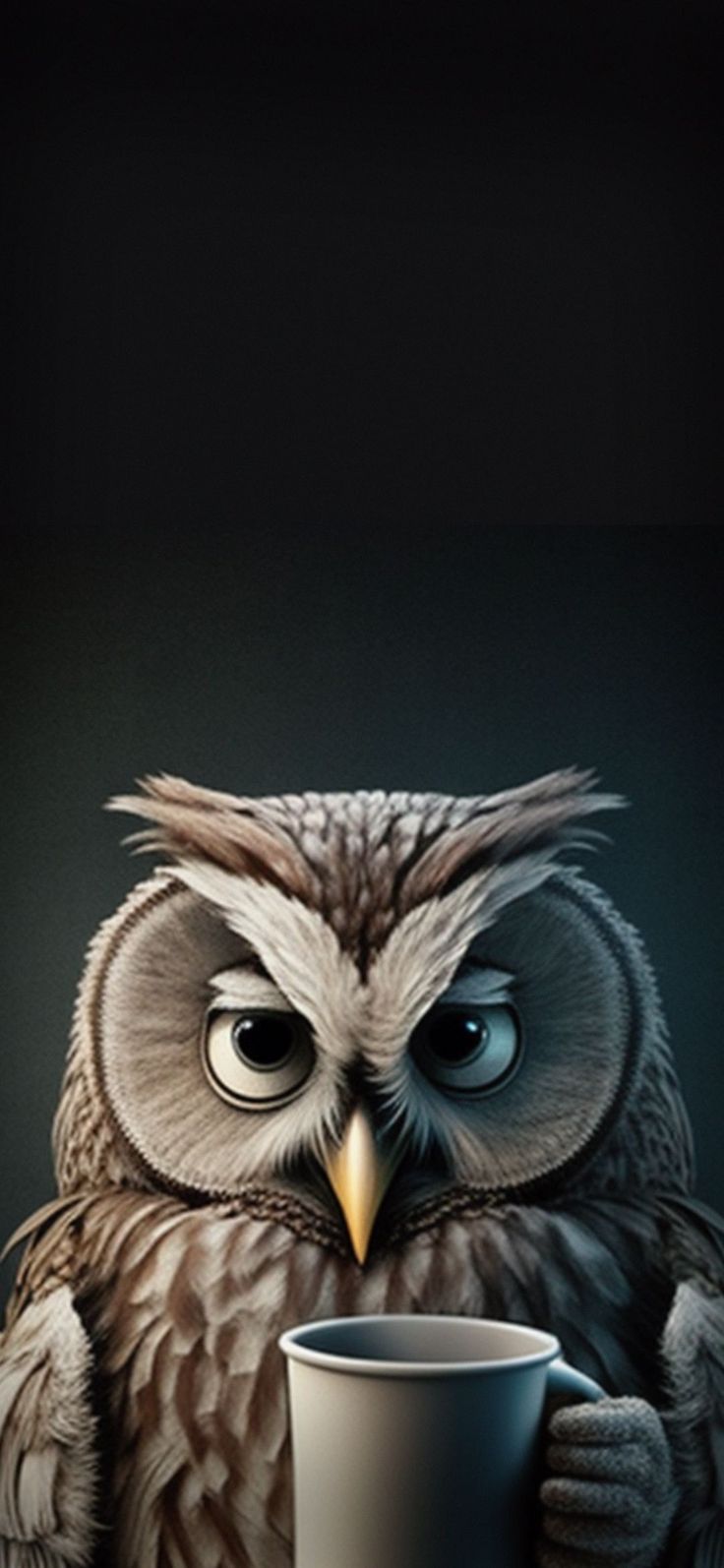 Coffee Owl Wallpapers - 4k, HD Coffee Owl Backgrounds on WallpaperBat