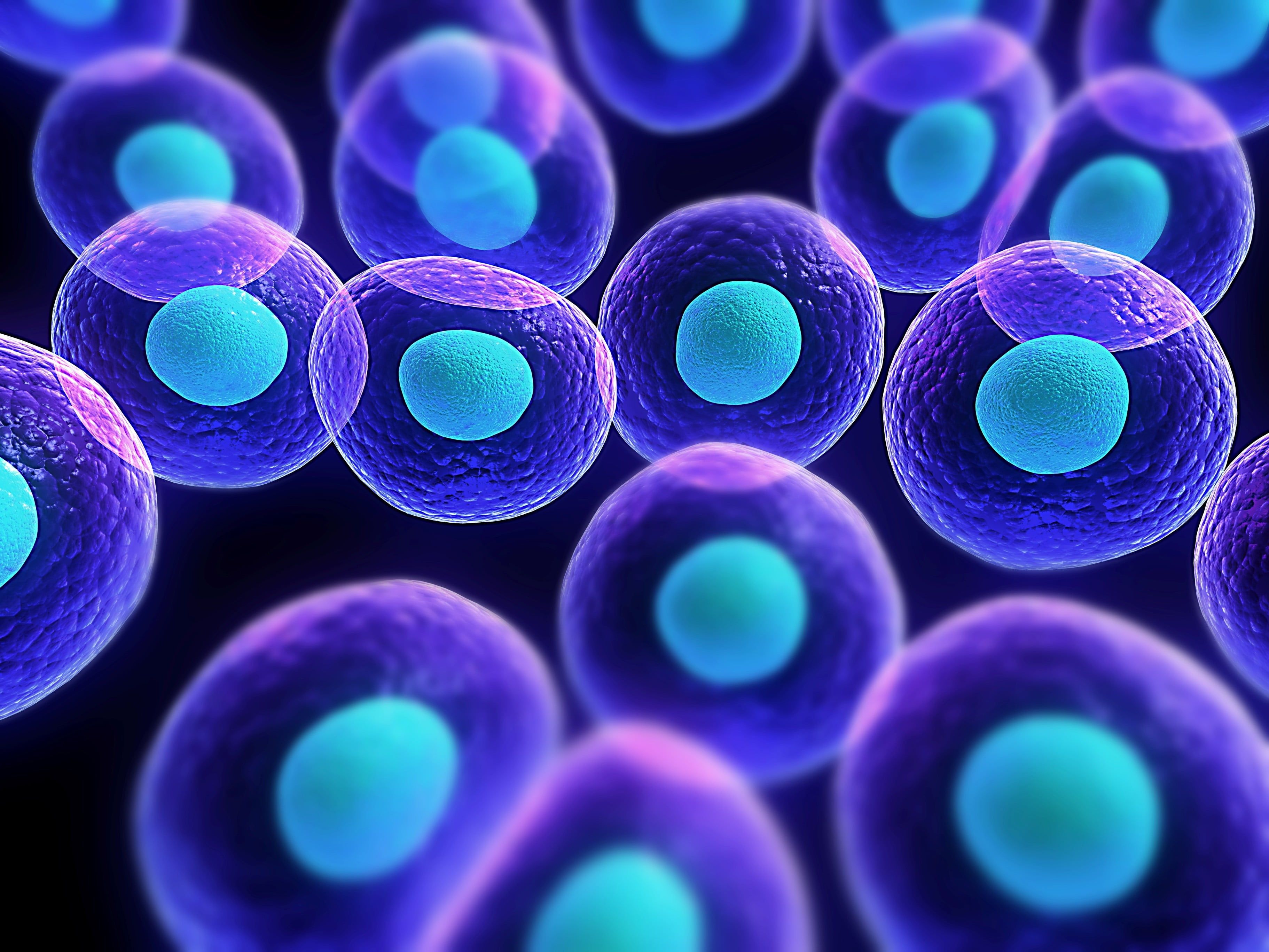 Steam cell bio фото 8