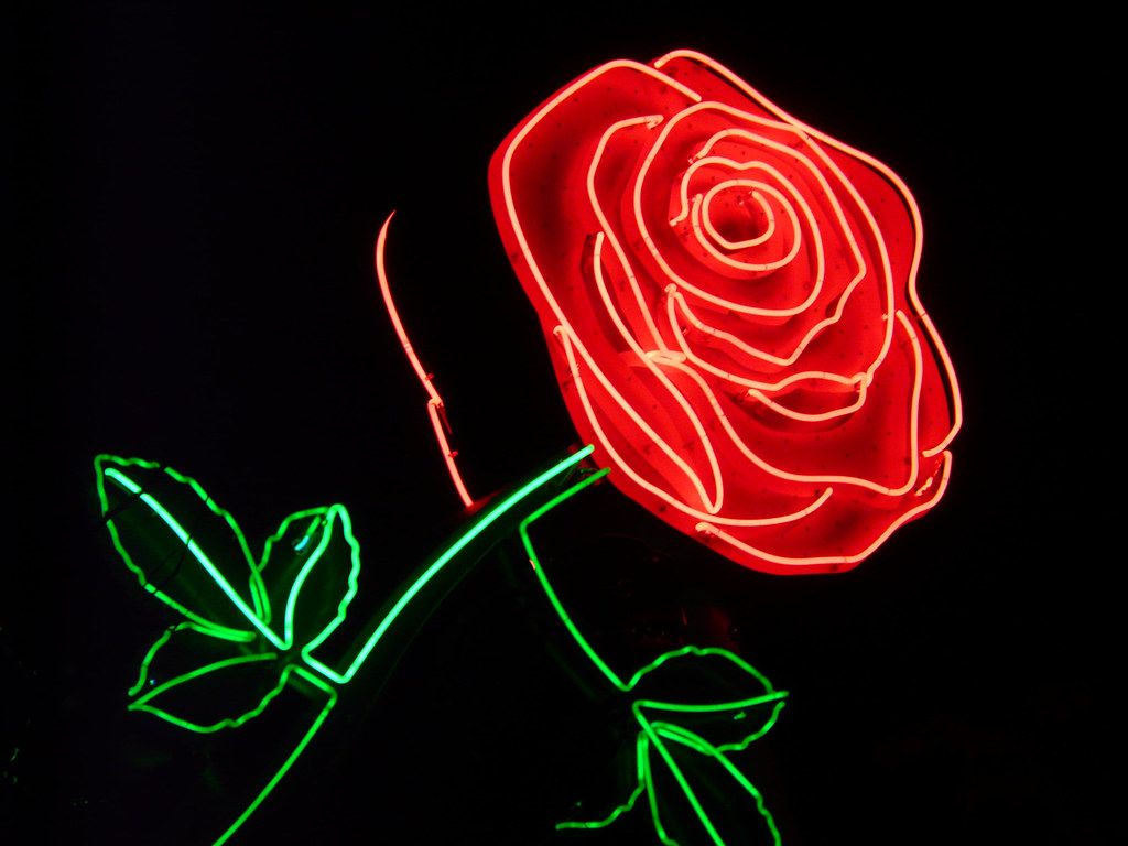 Neon Rose Wallpapers - 4k, HD Neon Rose Backgrounds on WallpaperBat