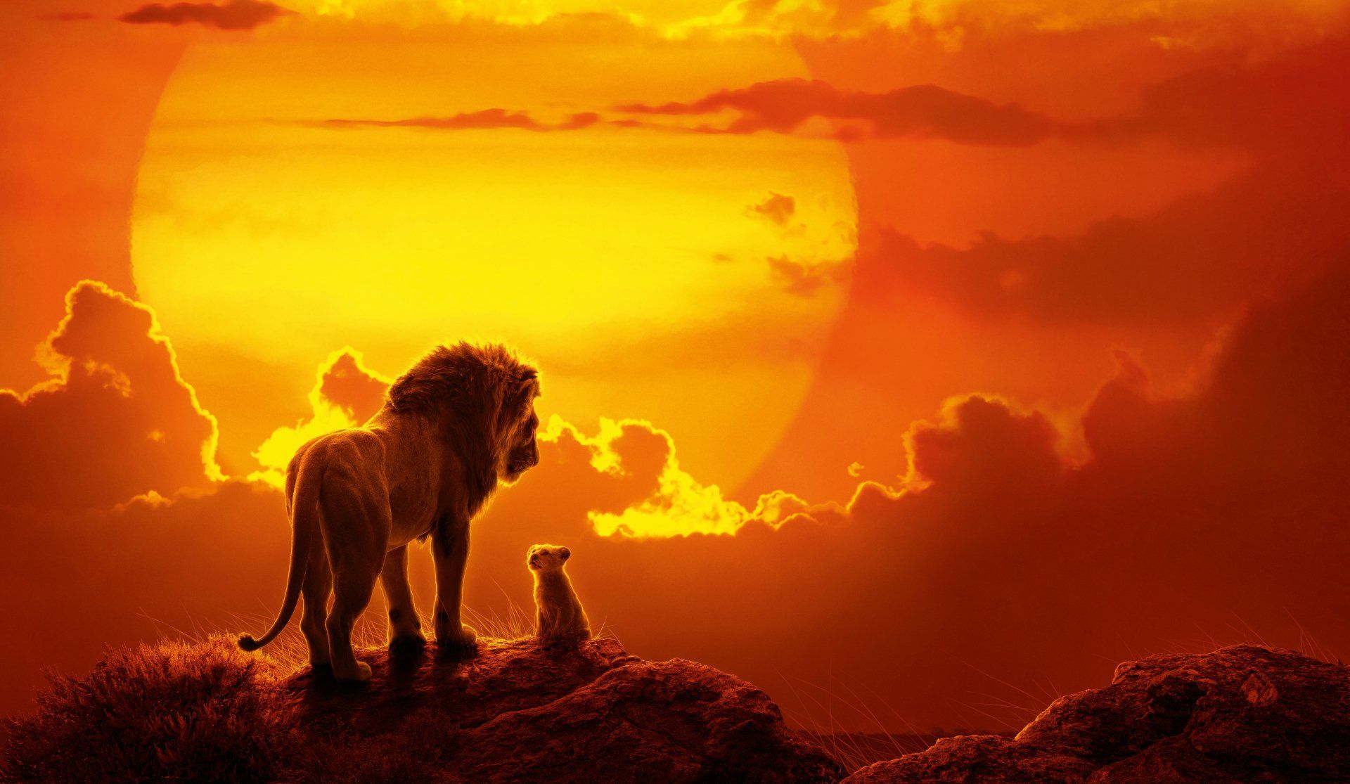 The Lion King Movie Wallpapers 4k Hd The Lion King Movie Backgrounds On Wallpaperbat The Lion King Movie Wallpapers 4k Hd The Lion King Movie Backgrounds On Wallpaperbat