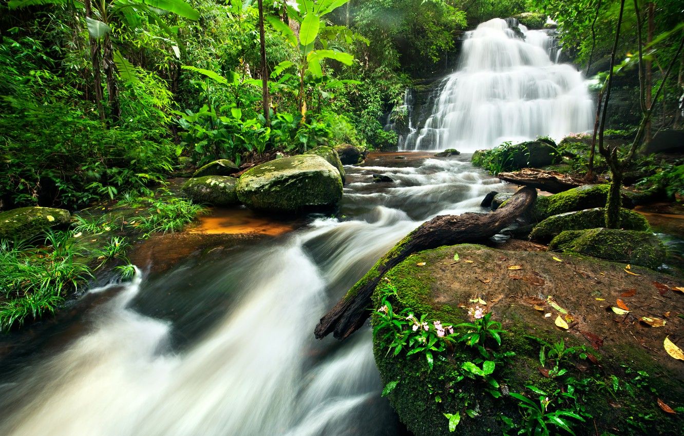 Tropical River Wallpapers - 4k, HD Tropical River Backgrounds on ...