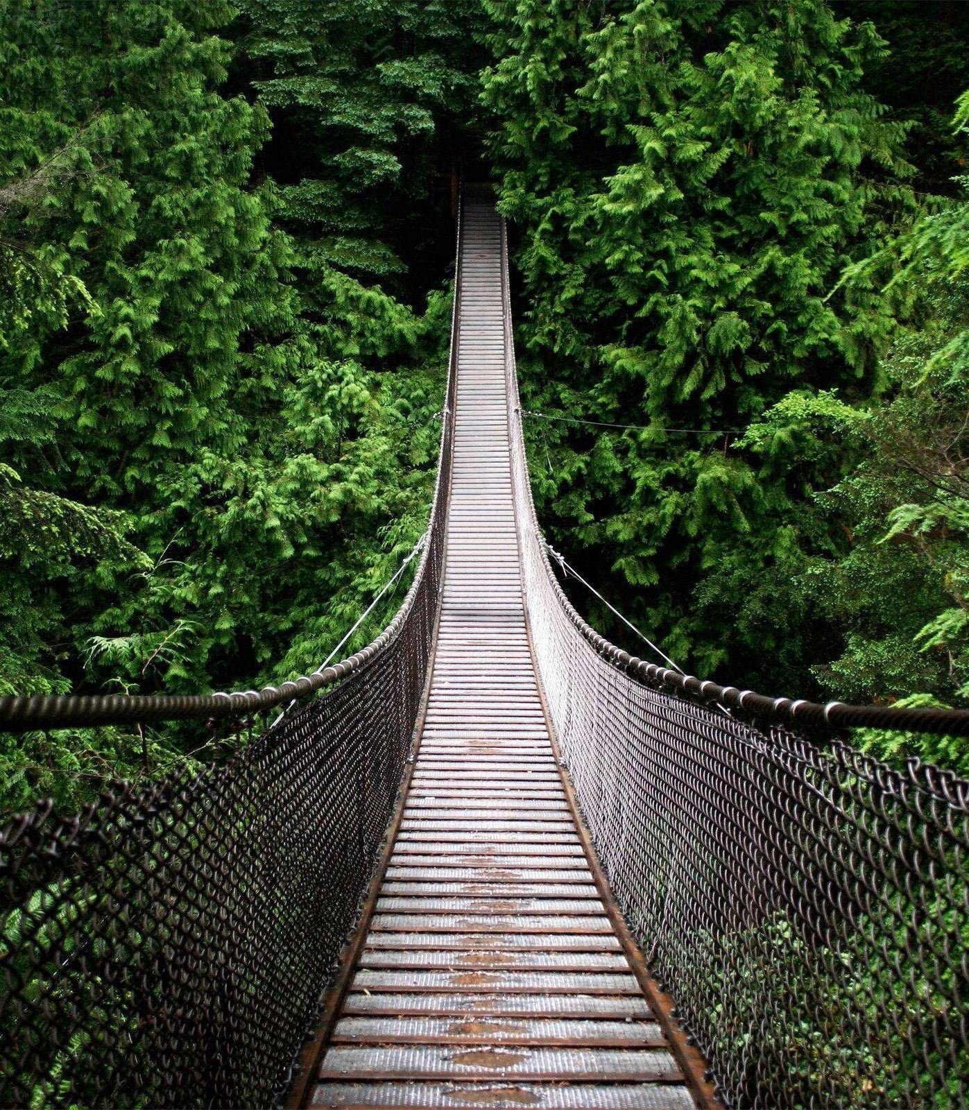 1397x1600 Amazon Rainforest, South America | Bridge wallpaper, Forest ... Wallpaper