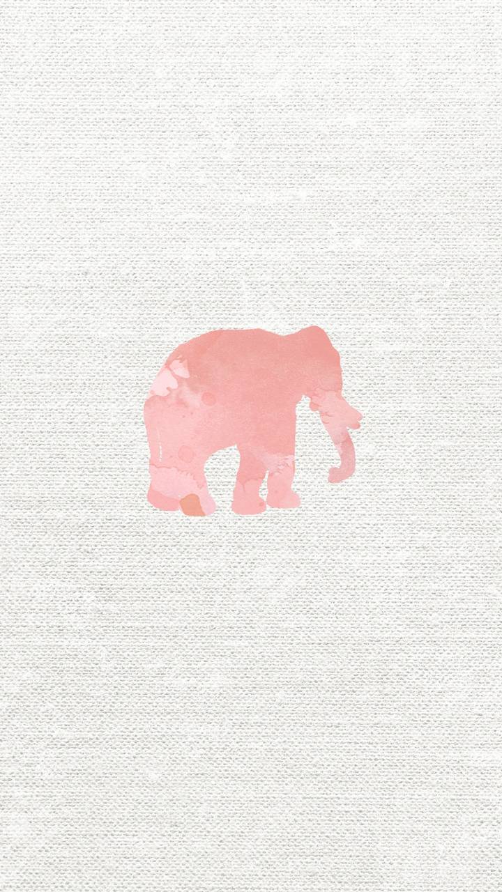 Pink Elephant Wallpapers - 4k, HD Pink Elephant Backgrounds on WallpaperBat