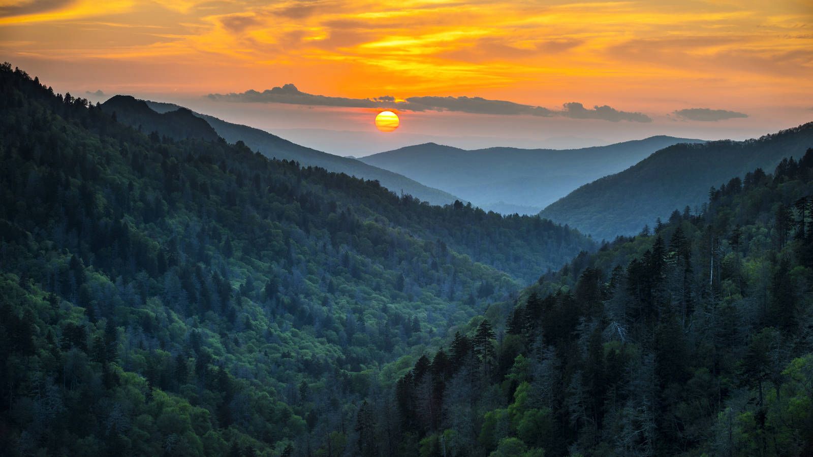 Great Smoky Mountains Wallpapers - 4k, HD Backgrounds on WallpaperBat