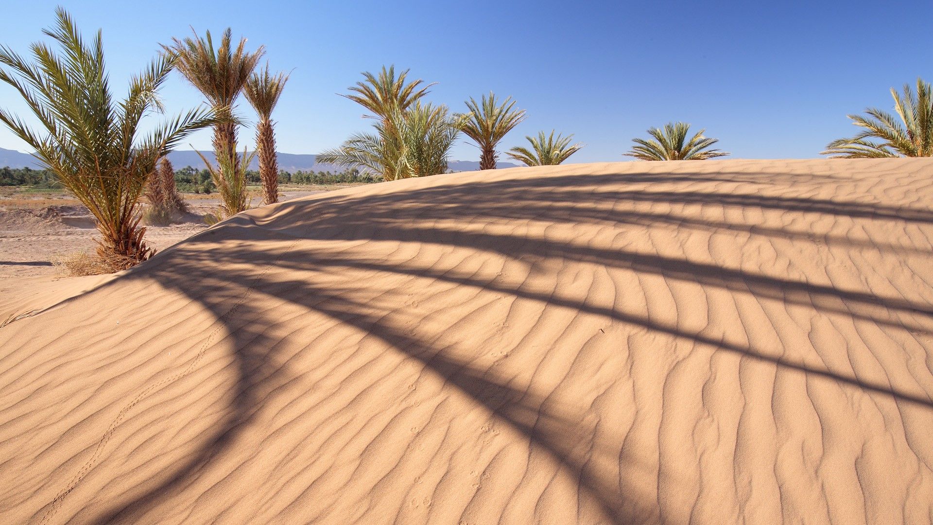 Desert Oasis Landscape Wallpapers 4k Hd Desert Oasis Landscape