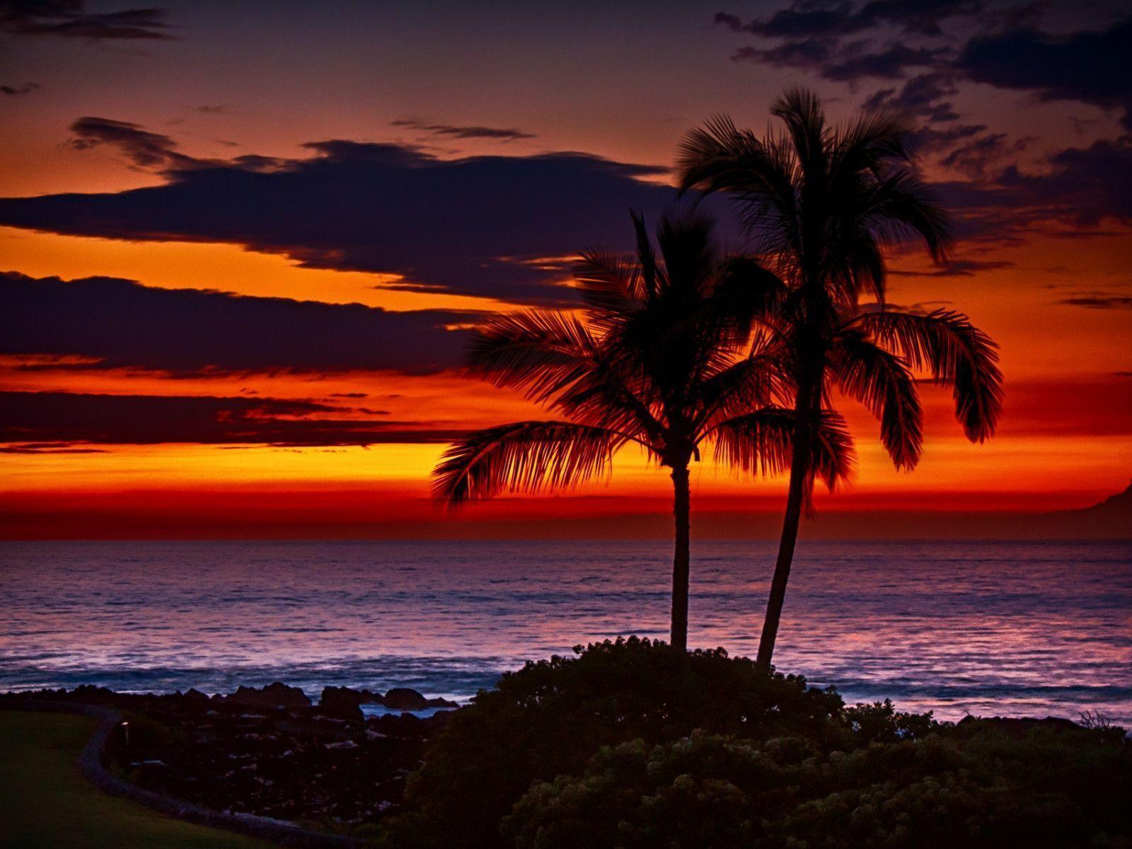 Oahu Sunset Wallpapers - 4k, HD Oahu Sunset Backgrounds on WallpaperBat 