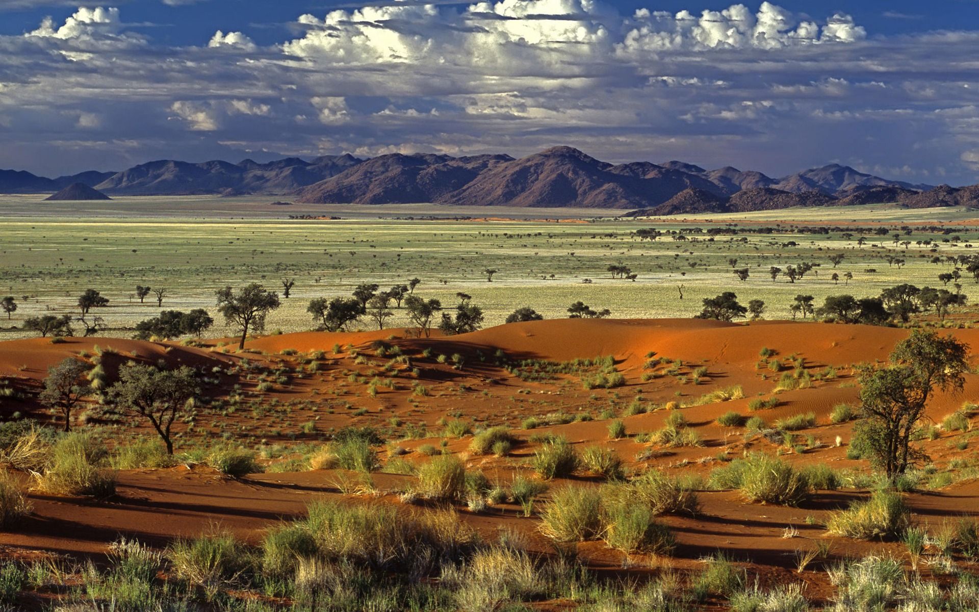 1920x1200 Free download wallpaper widescreen tokkie nature desert landscape on WallpaperBat