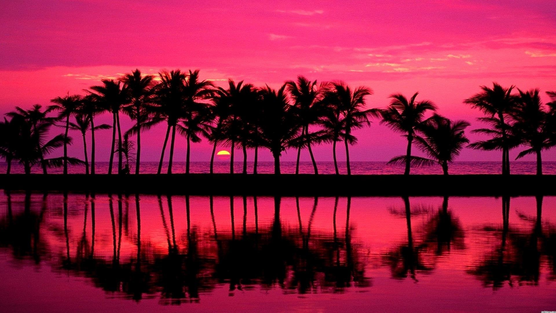 Pink Beach Sunset Wallpapers - 4k, HD Pink Beach Sunset Backgrounds on