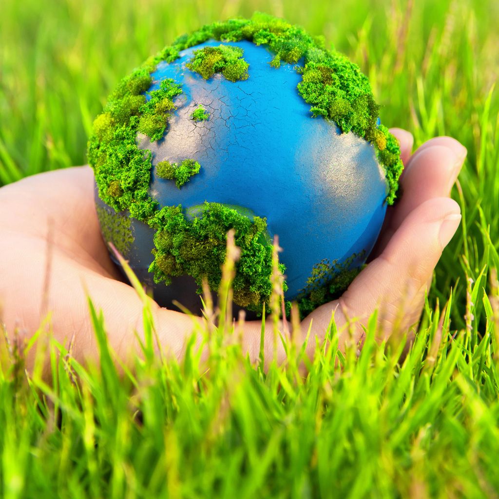 Environmental biology wallpapers 4k hd environmental biology