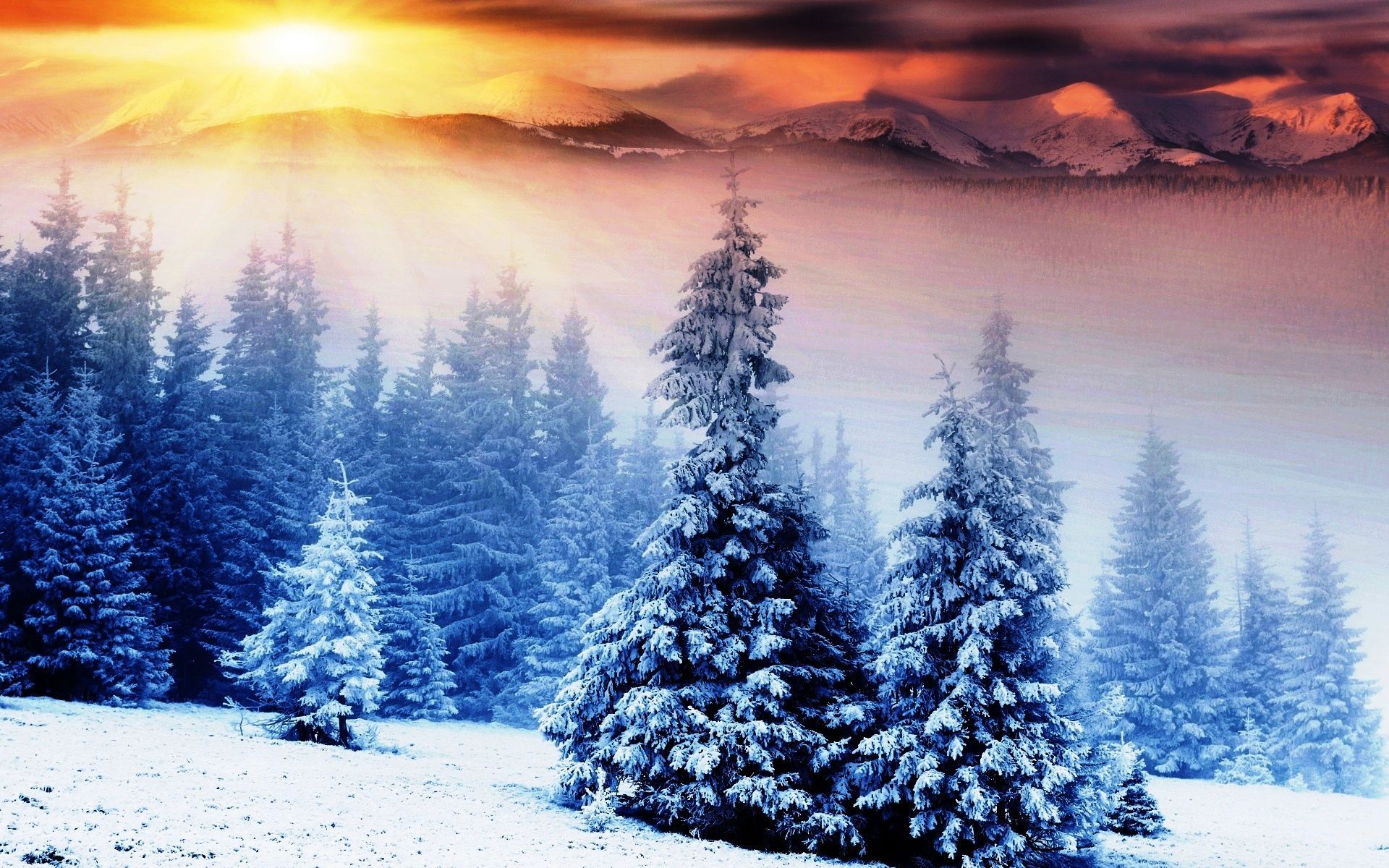 Winter Sunrise Wallpapers - 4k, HD Winter Sunrise Backgrounds on ...