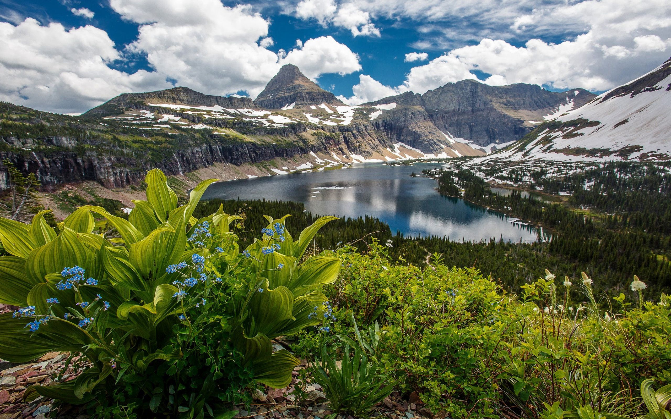 Much of the natural landscape has been