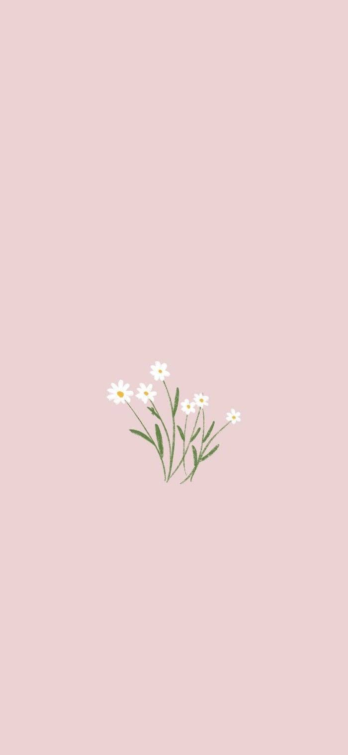 Spring Minimalist Wallpapers - 4k, HD Spring Minimalist Backgrounds on ...