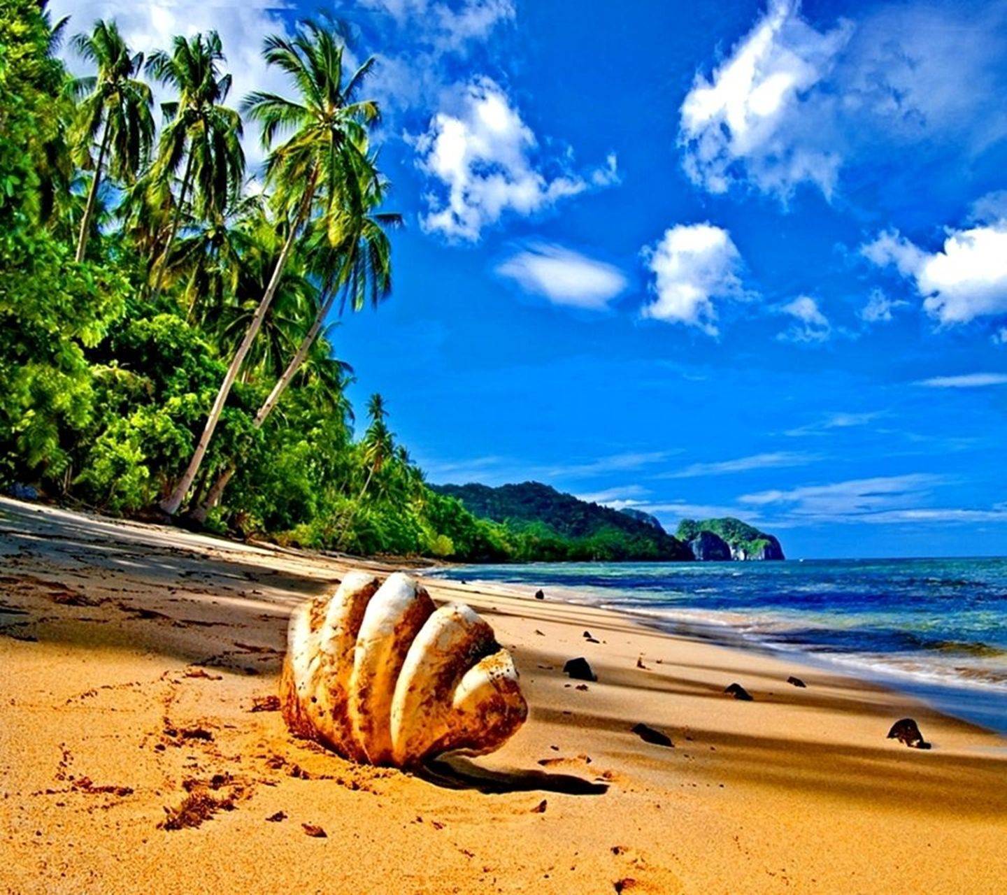 Beach View Wallpapers - 4k, HD Beach View Backgrounds on WallpaperBat