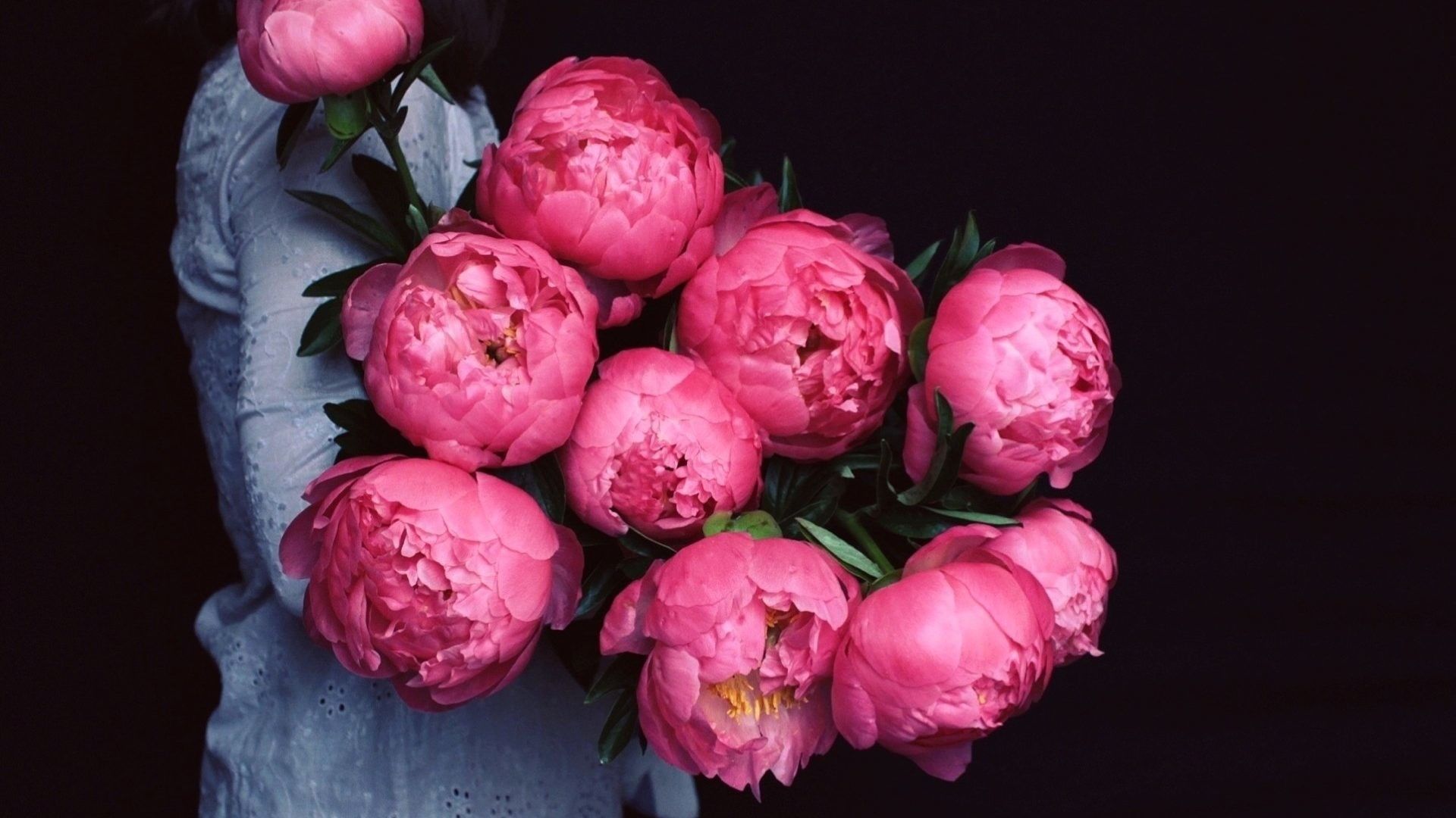 Peony Wallpapers - 4k, HD Peony Backgrounds on WallpaperBat