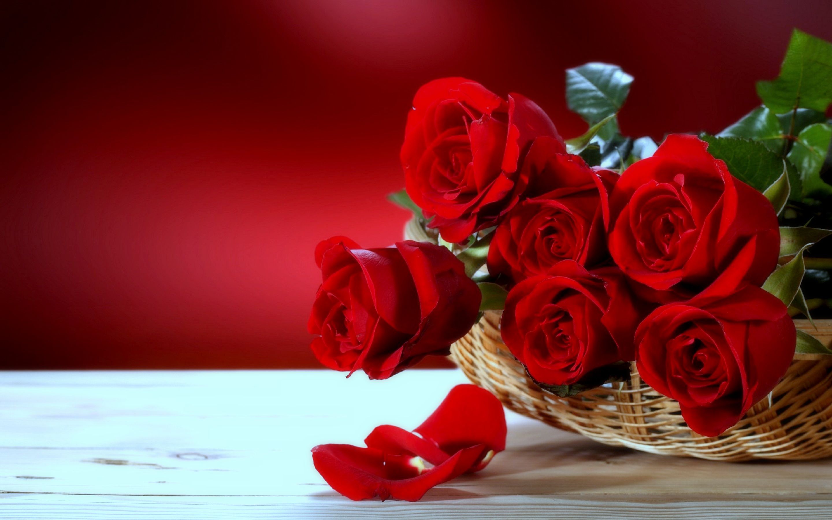 2880x1800 Red Roses Desktop Flowers Wallpaper - Most Beautiful Love Flowers on WallpaperBat