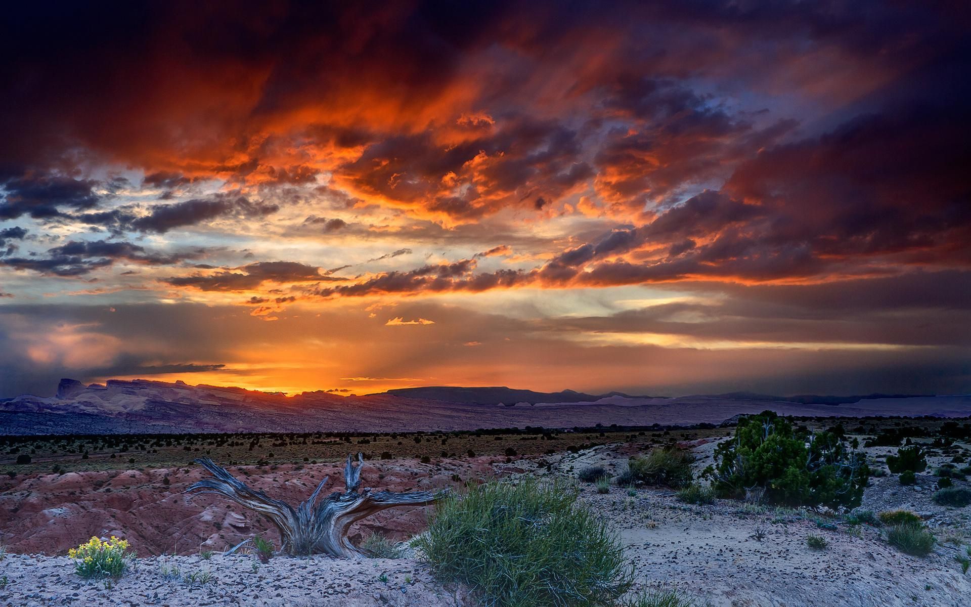 Mojave Desert Wallpapers - 4k, HD Mojave Desert Backgrounds on WallpaperBat