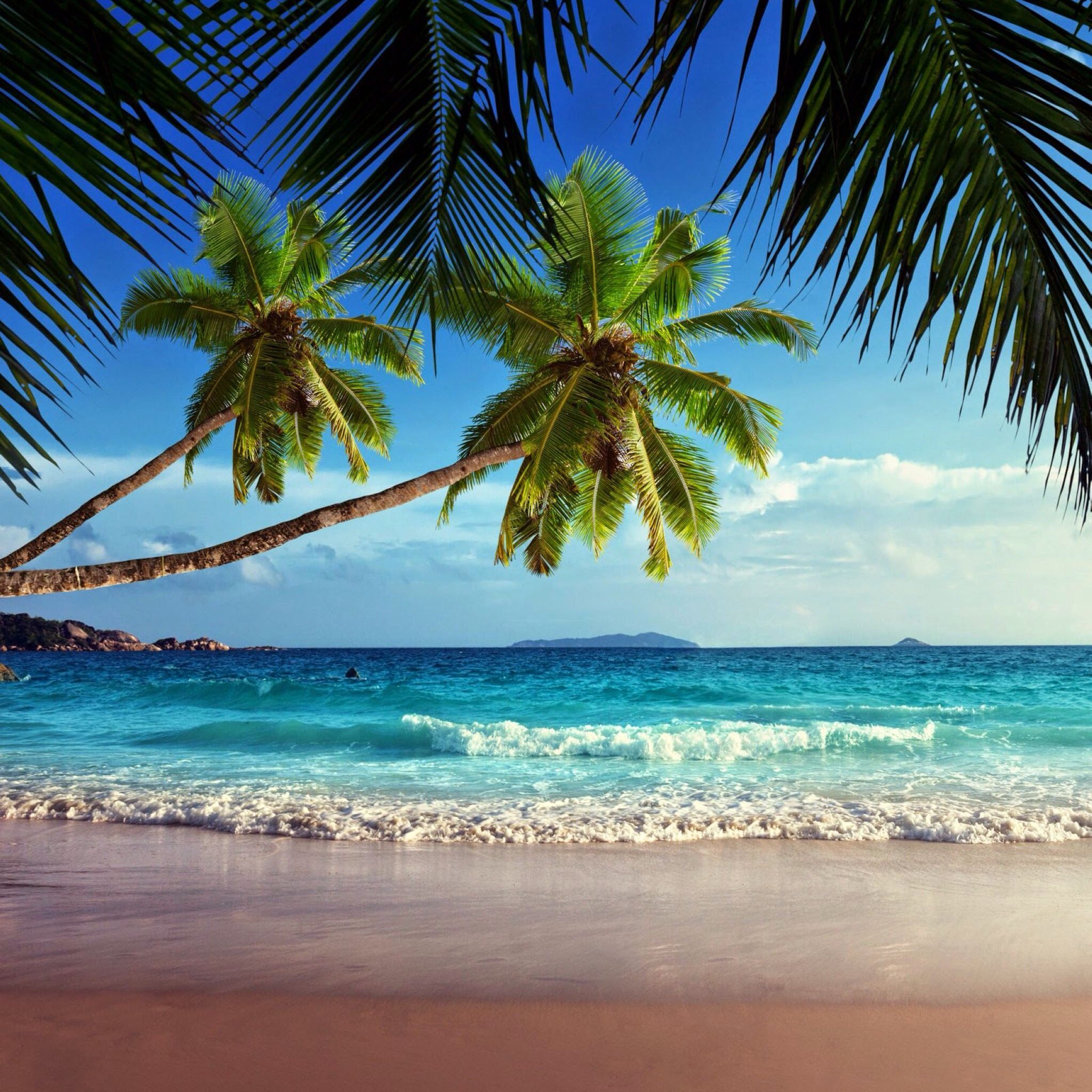 Tropical Paradise Wallpapers - 4k, HD Tropical Paradise Backgrounds on ...