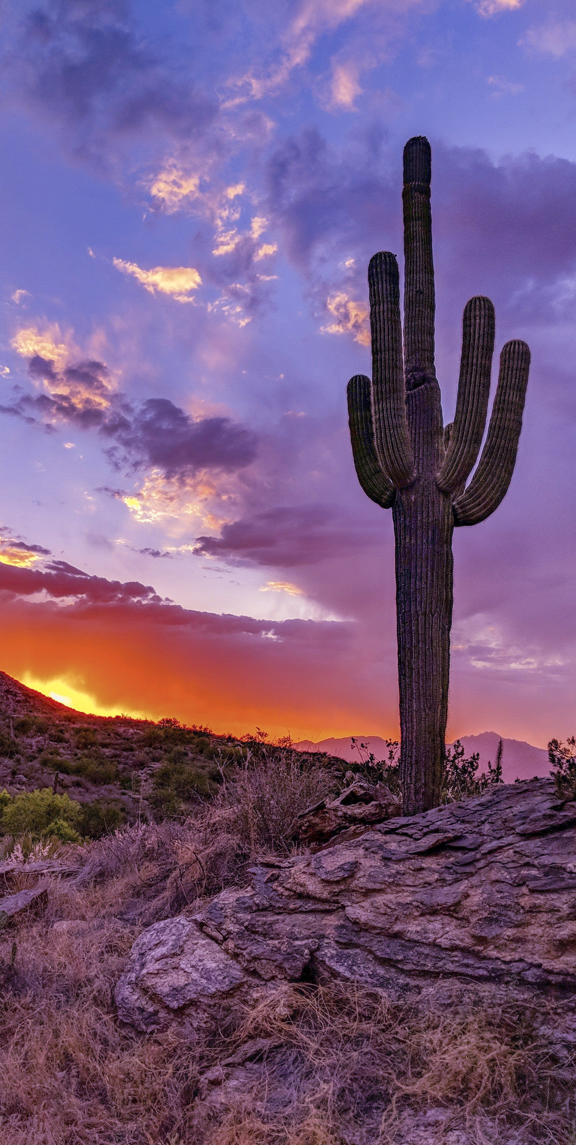 Arizona Desert Sunset Wallpapers - 4k, HD Arizona Desert Sunset ...