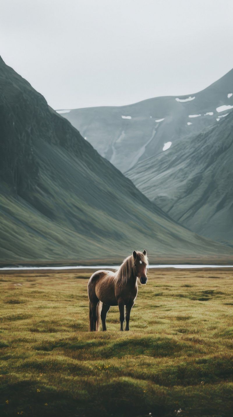 Horse iPhone Wallpapers - 4k, HD Horse iPhone Backgrounds on WallpaperBat