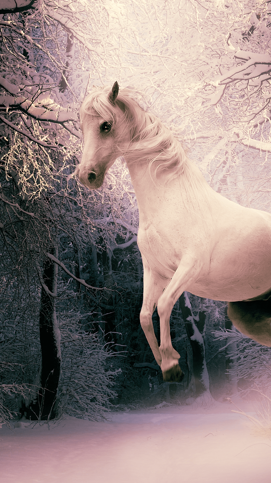 Horse iPhone Wallpapers - 4k, HD Horse iPhone Backgrounds on WallpaperBat